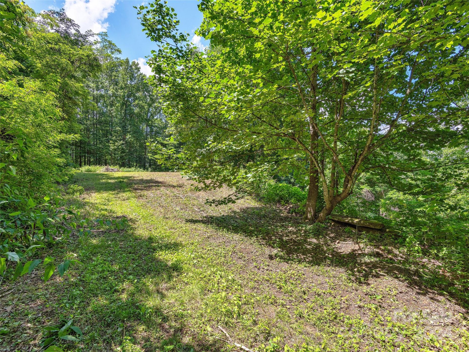 Property image 1 at 00 Red Bank Road, Waynesville, NC 28786