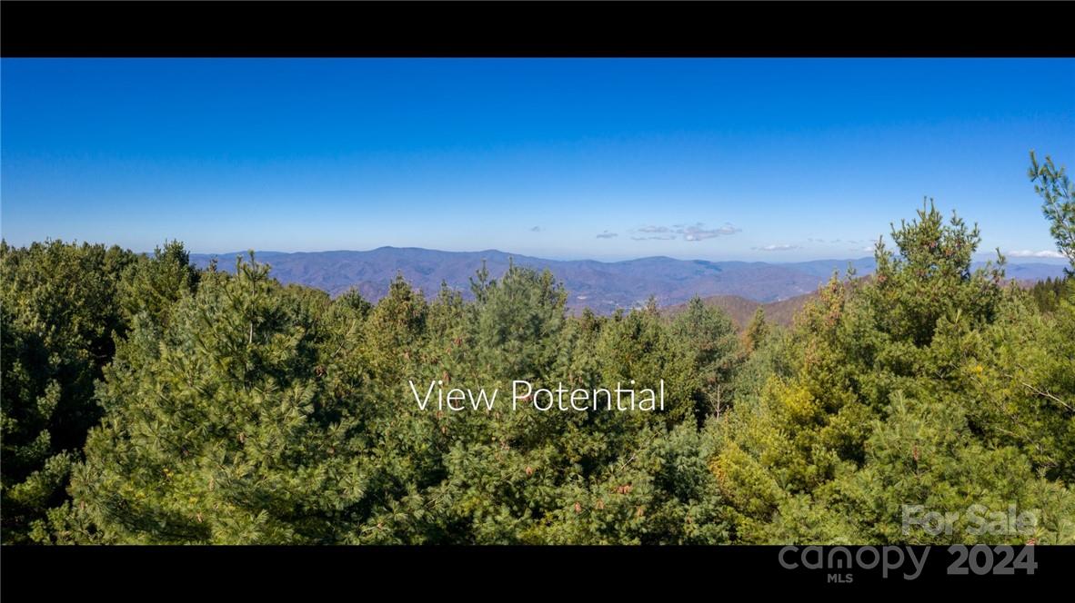 197 Eagle Bald Trail