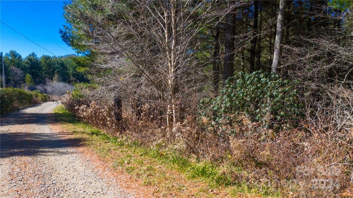 Property image 4 at 197 Eagle Bald Trail, Burnsville, NC 28714