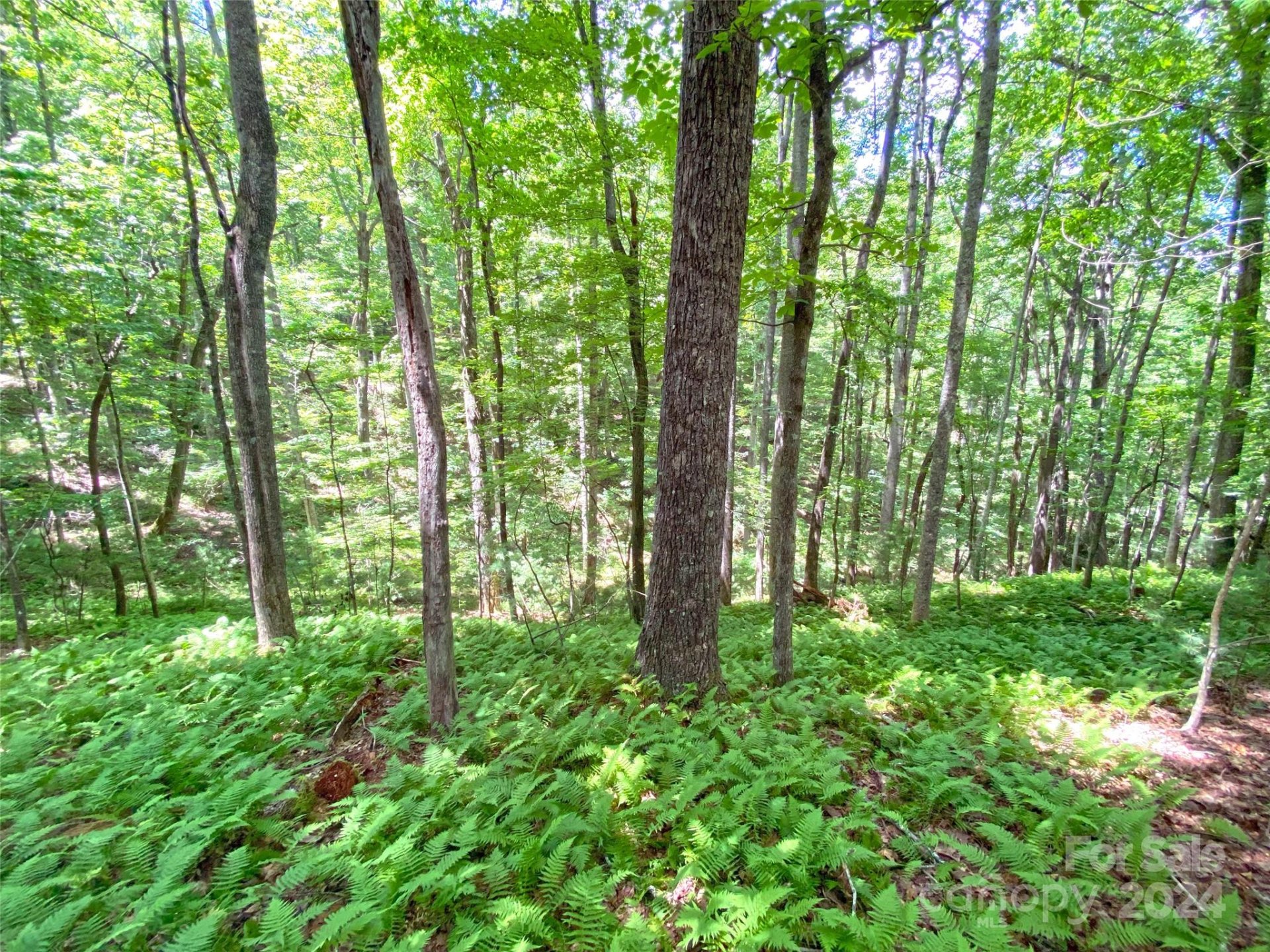 Property image 2 at Tbd Hickory Tree Lane, Hendersonville, NC 28739