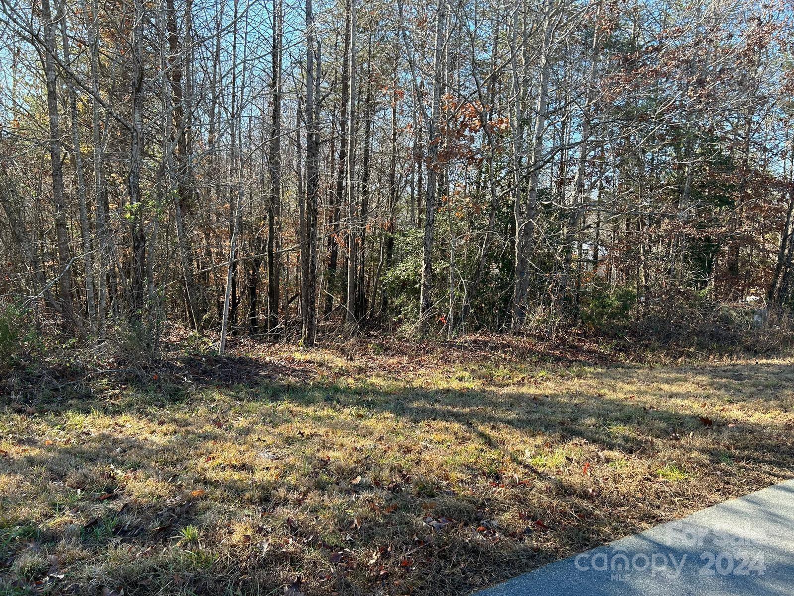 Property image 3 at 0 Dalmatian Street, Iron Station, NC 28080