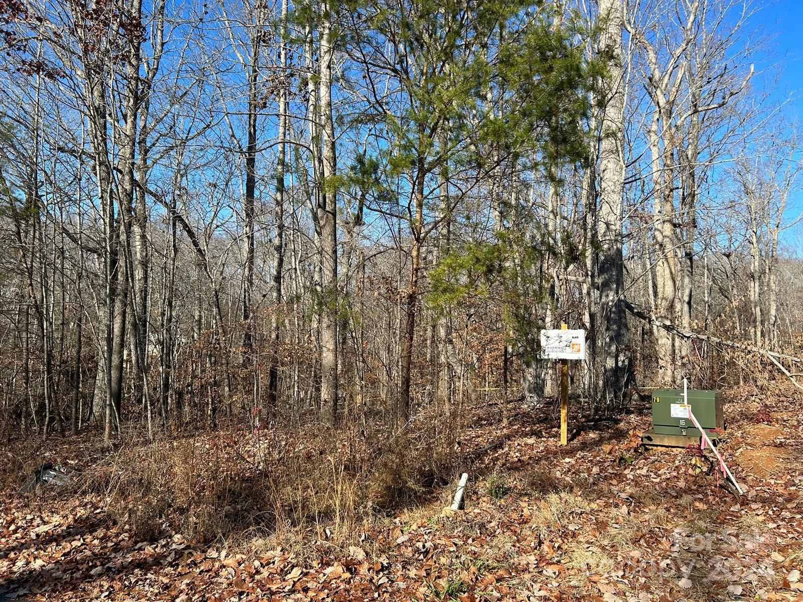 Property image 2 at 0 Lhasa Apso Lane, Iron Station, NC 28080