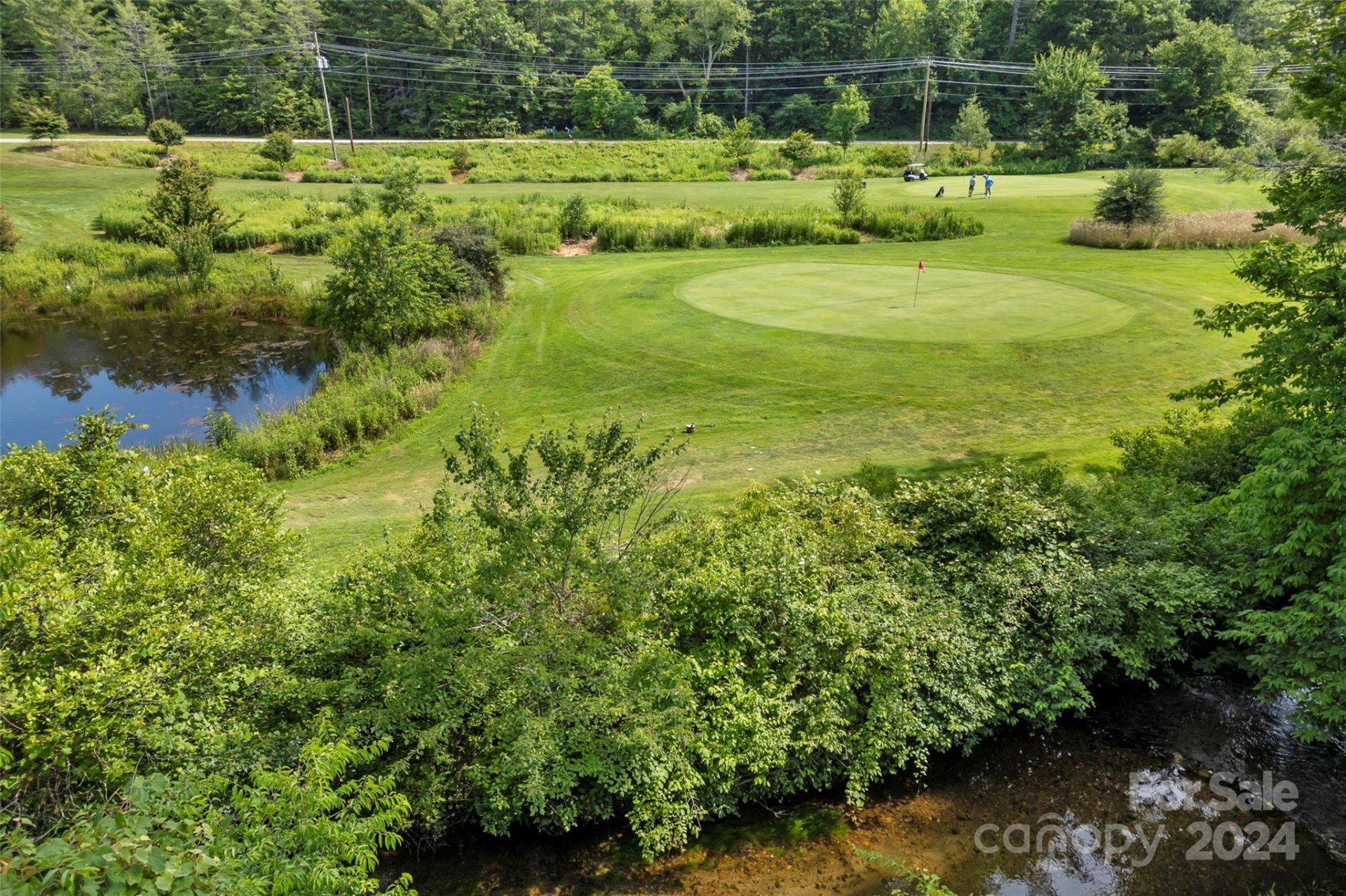 Property image 4 at 43 Gold Finch Court, Brevard, NC 28712