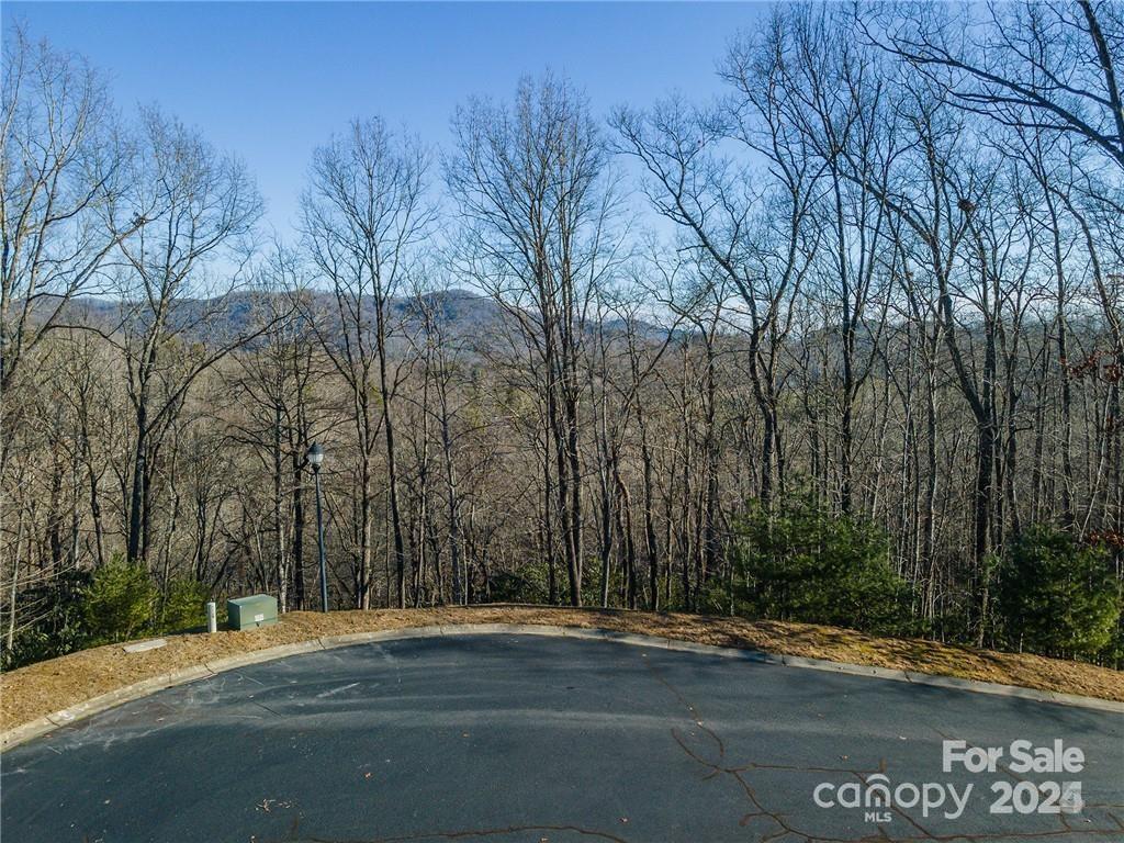 Property image 3 at 80 Buckhead Trail, Horse Shoe, NC 28742