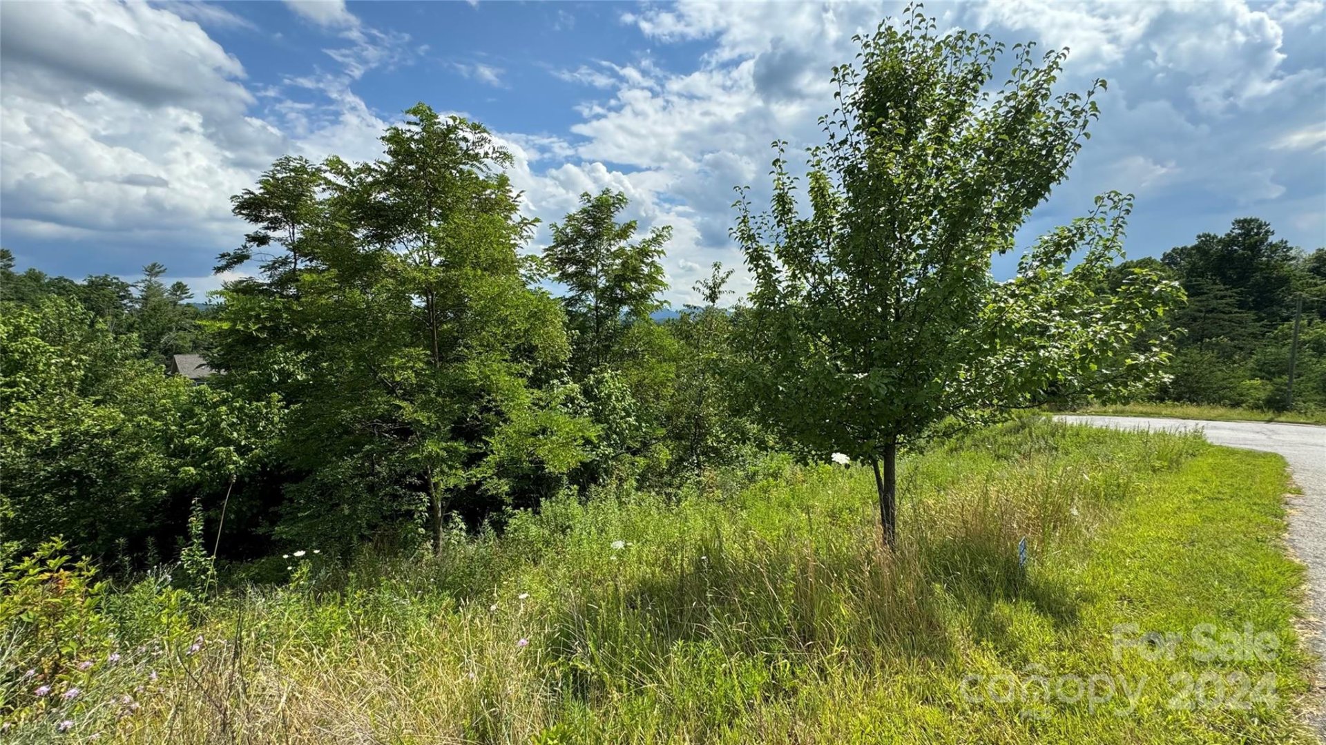 Property image 1 at 000 Big Rocky Top Drive, Weaverville, NC 28787