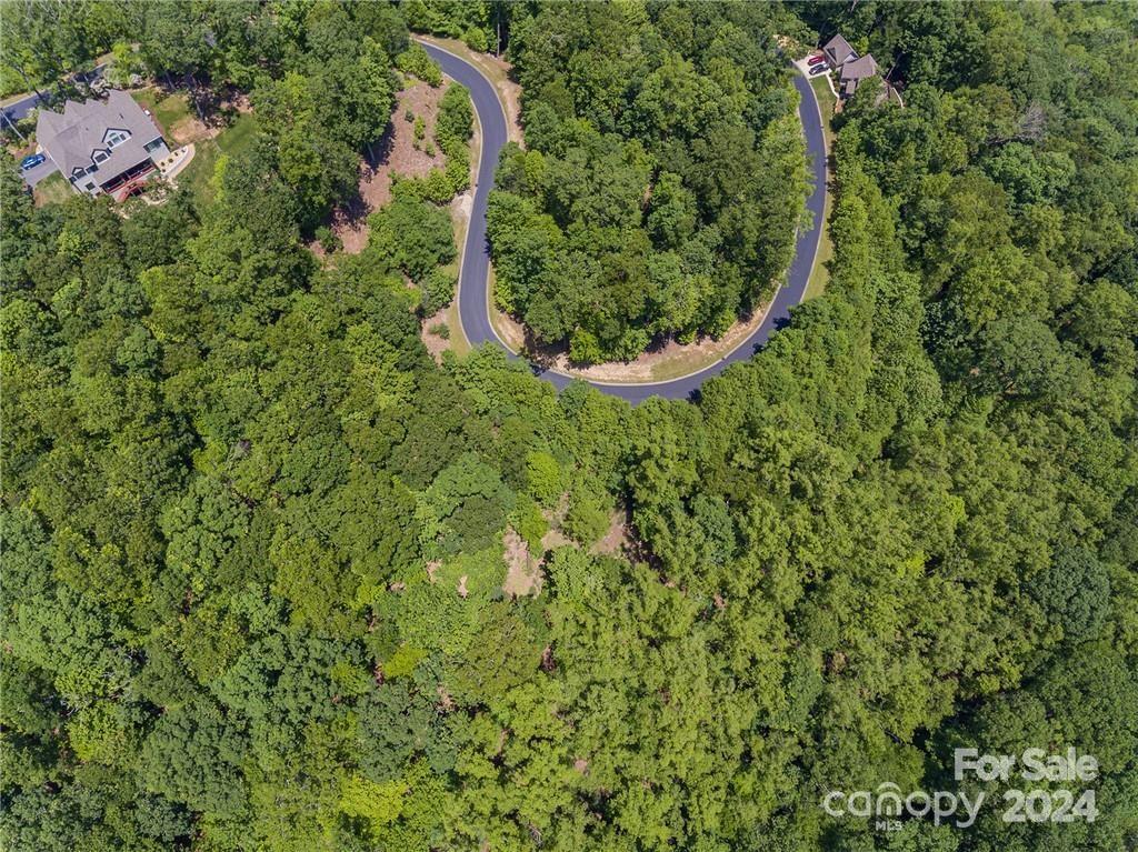 Property image 3 at 0 Mills River Way, Horse Shoe, NC 28742