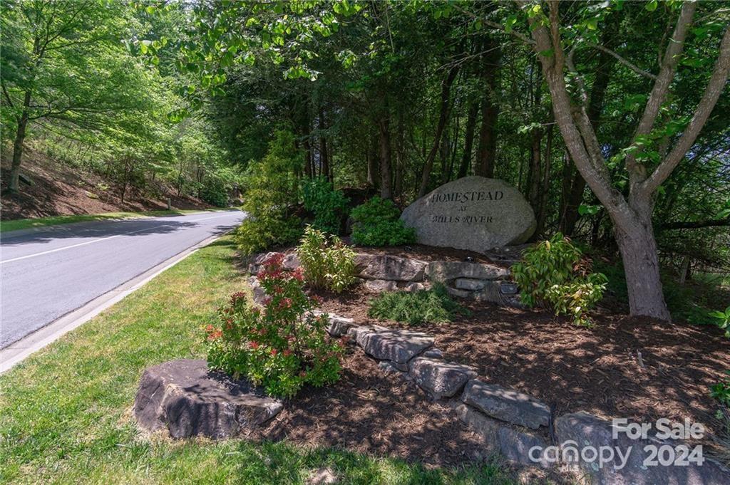 Property image 4 at 0 Mills River Way, Horse Shoe, NC 28742