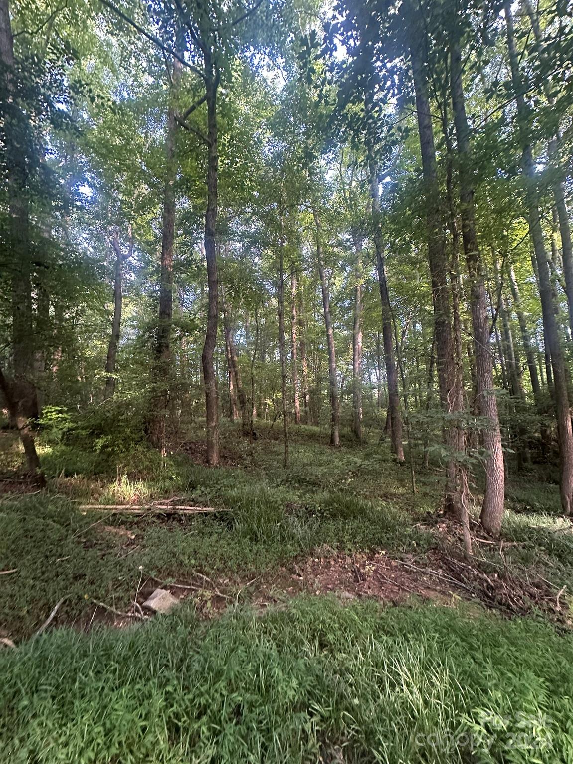 Property image 4 at 000 Black Horse Run Road, Indian Land, SC 29707