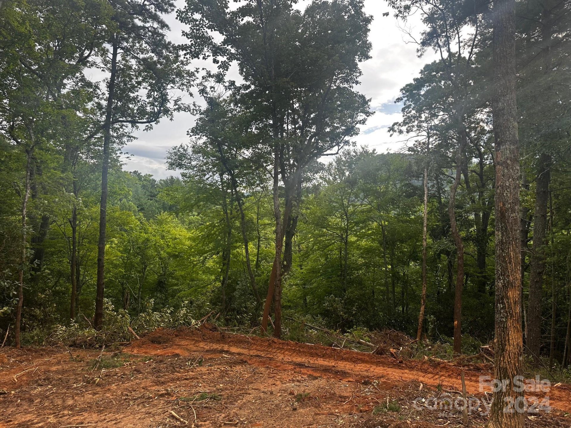 Property image 1 at 0000 Silverstone Drive, Hendersonville, NC 28792