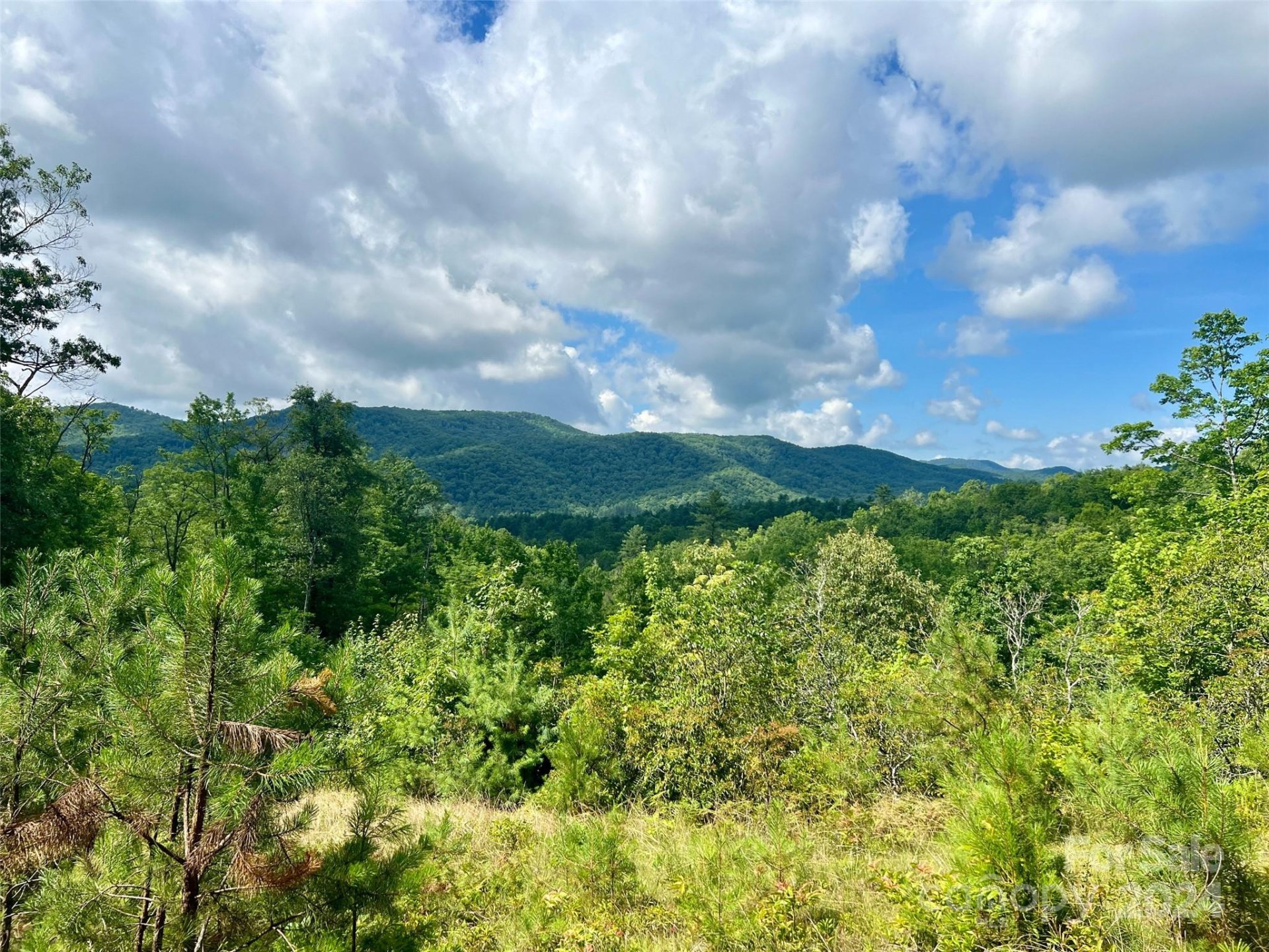 Property at 667 Laurel Thicket Lane, Brevard, NC 28712