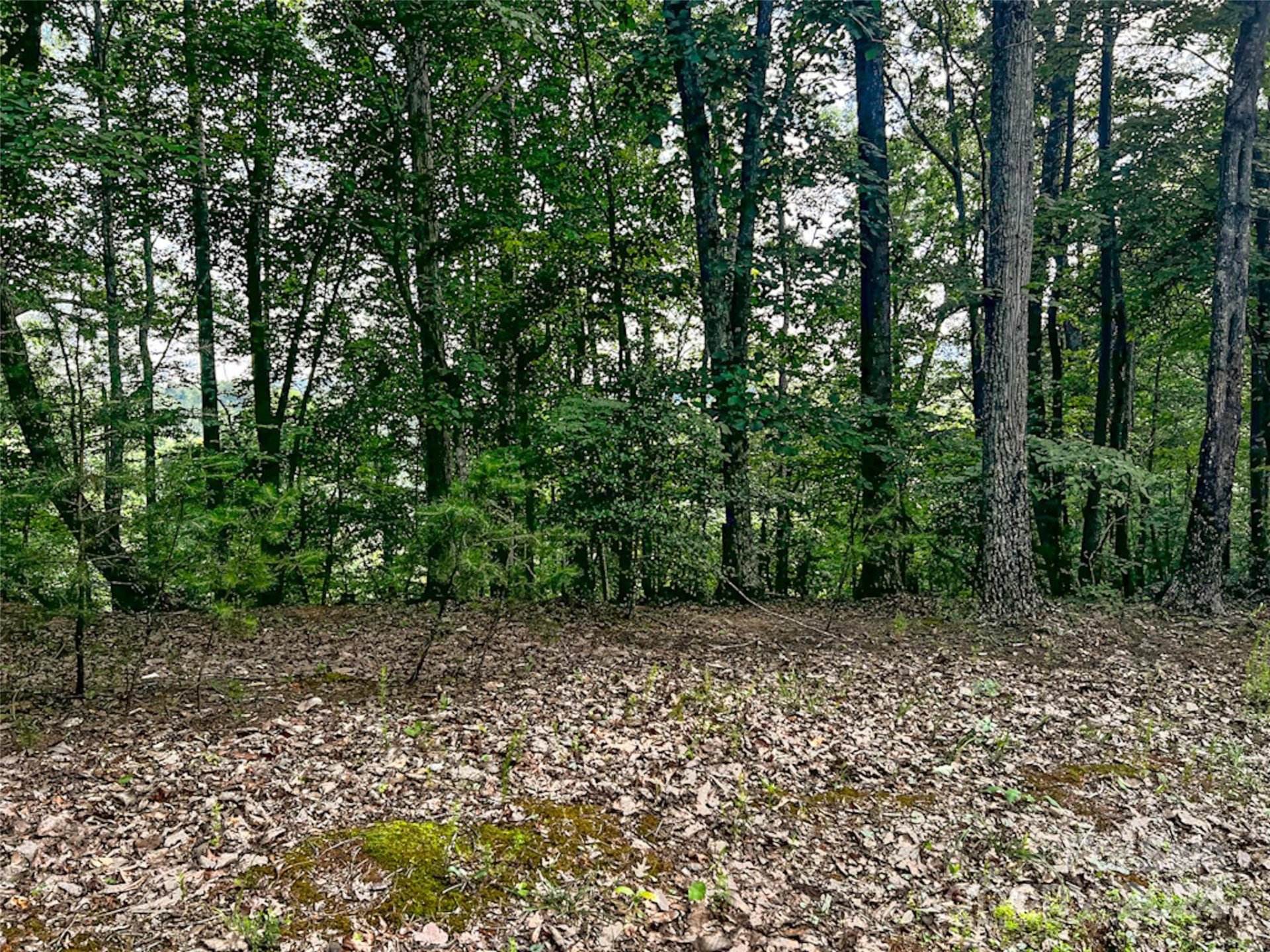 Property image 2 at 00 Whitney Boulevard, Lake Lure, NC 28746