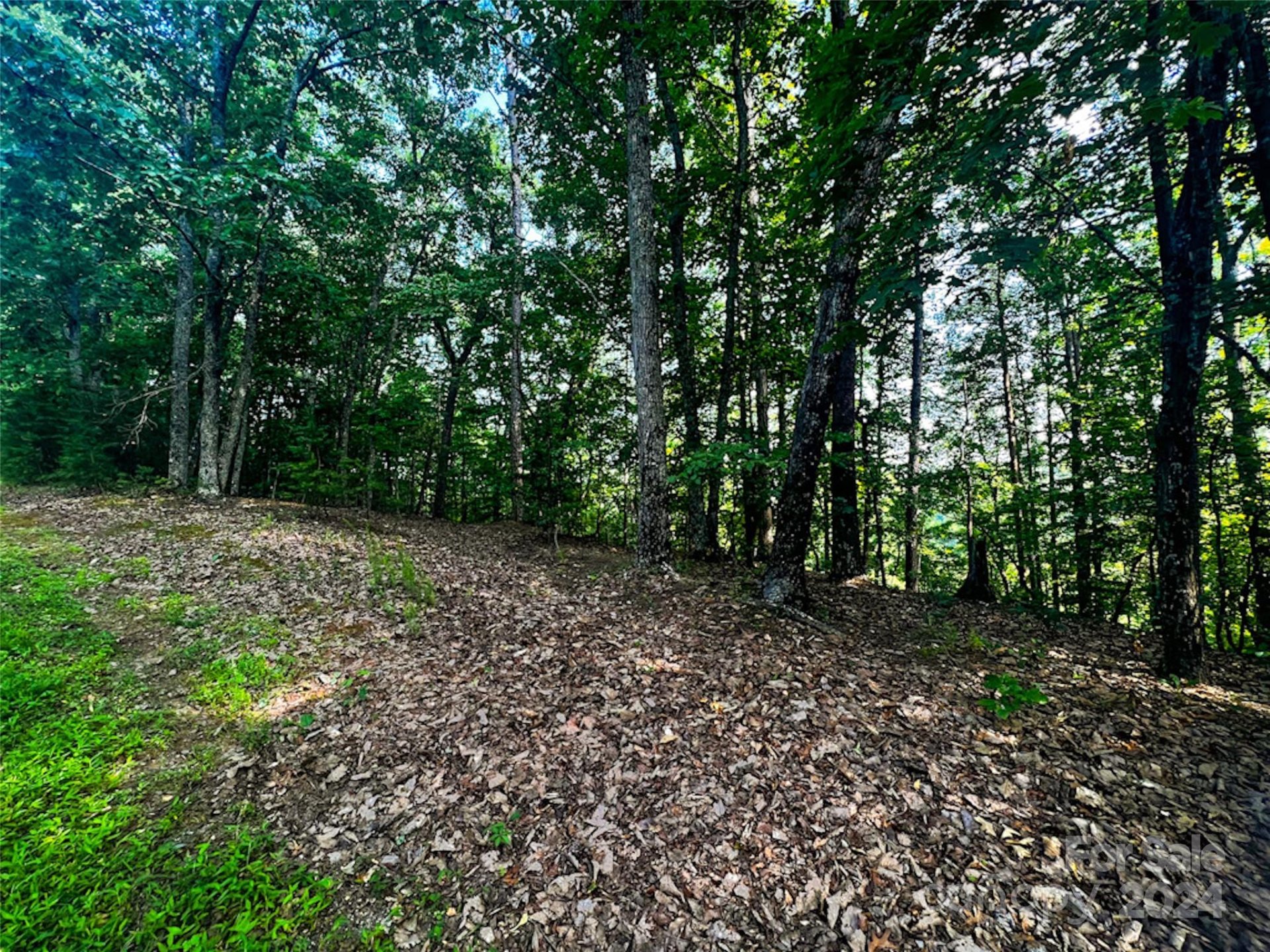Property image 3 at 00 Whitney Boulevard, Lake Lure, NC 28746