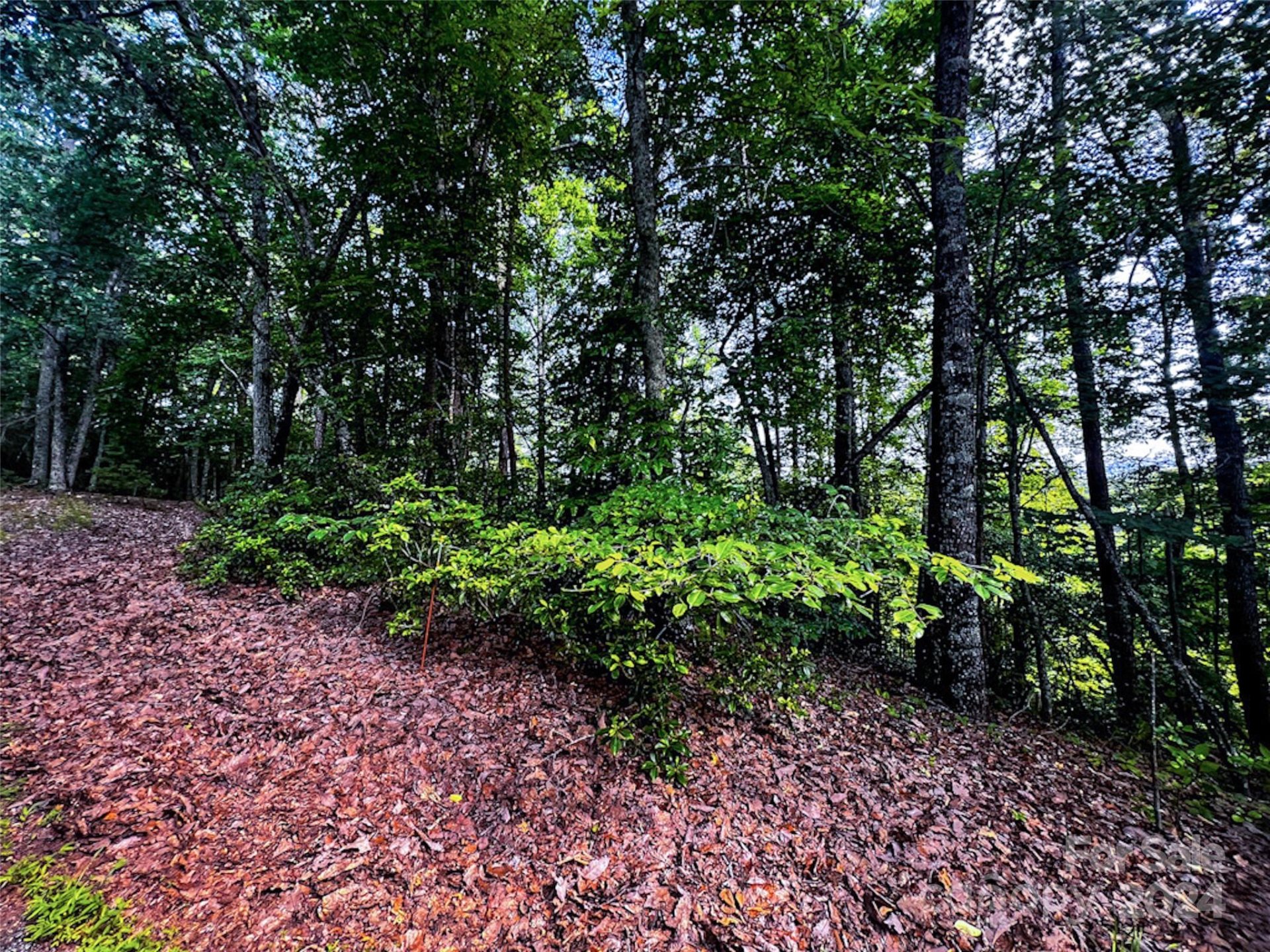 Property image 4 at 00 Whitney Boulevard, Lake Lure, NC 28746