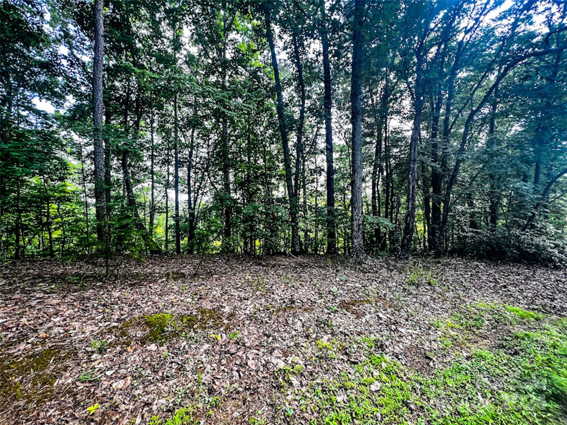 Property image 5 at 00 Whitney Boulevard, Lake Lure, NC 28746