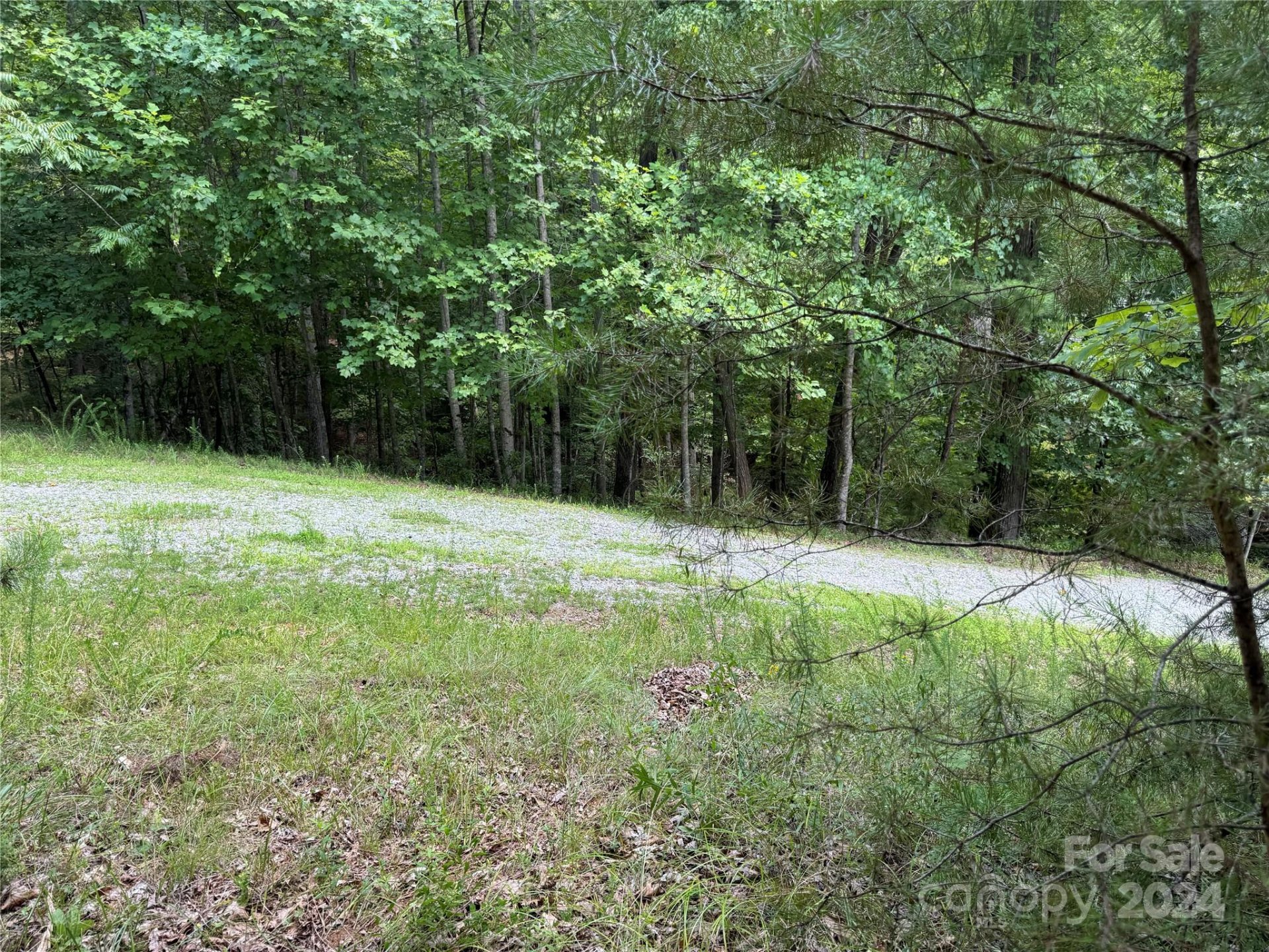 Property image 5 at 0 Hawks Court, Lake Lure, NC 28746