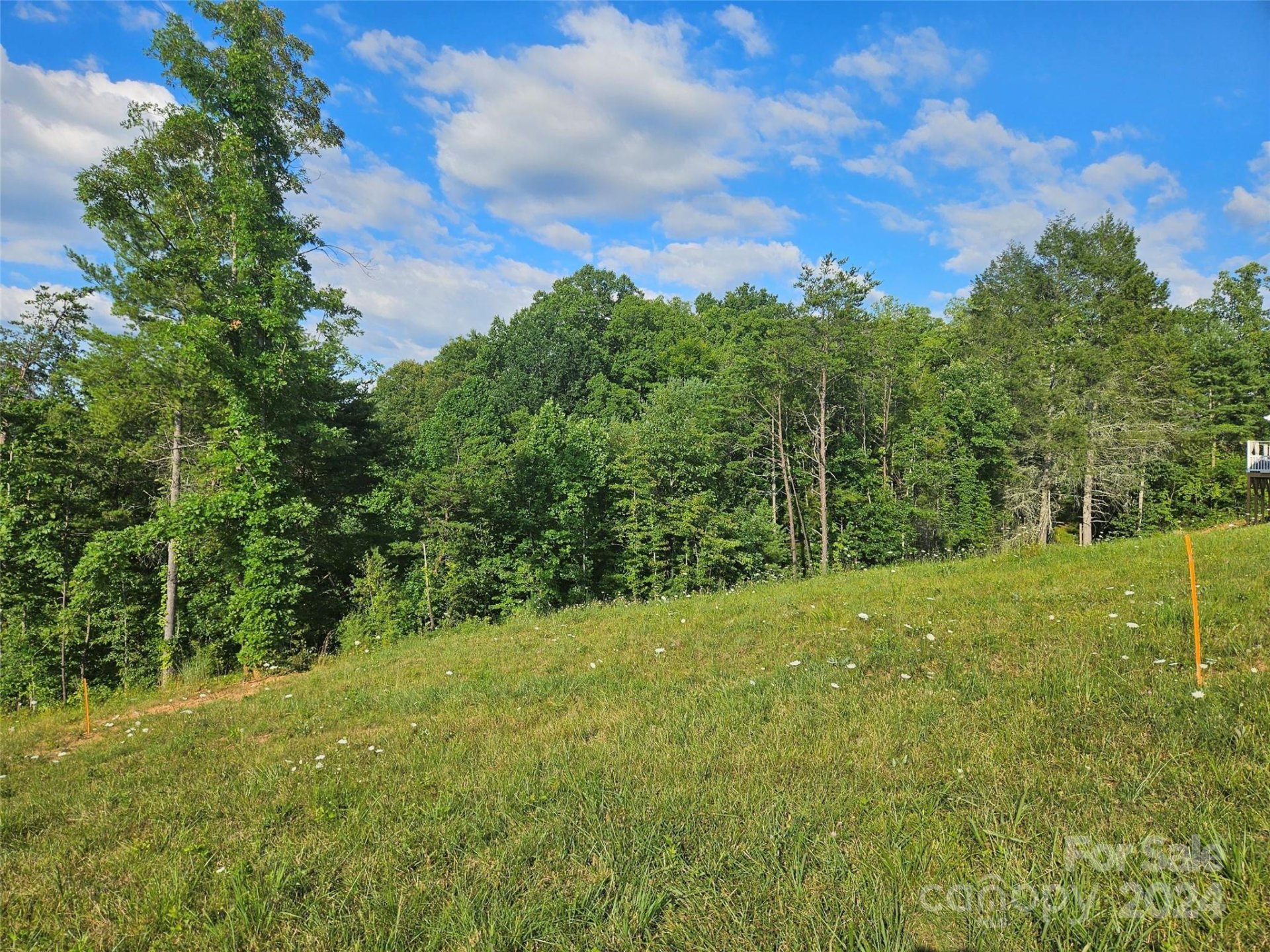 Property image 1 at 161 Wilson Farm Road, Weaverville, NC 28787