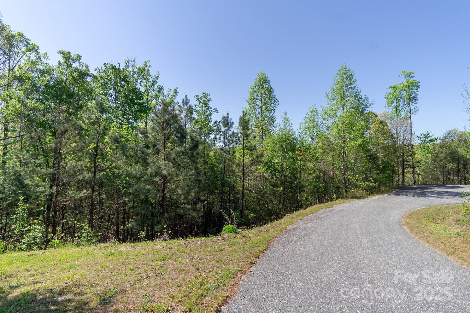 Property image 3 at V L Easy Street, Lake Lure, NC 28746