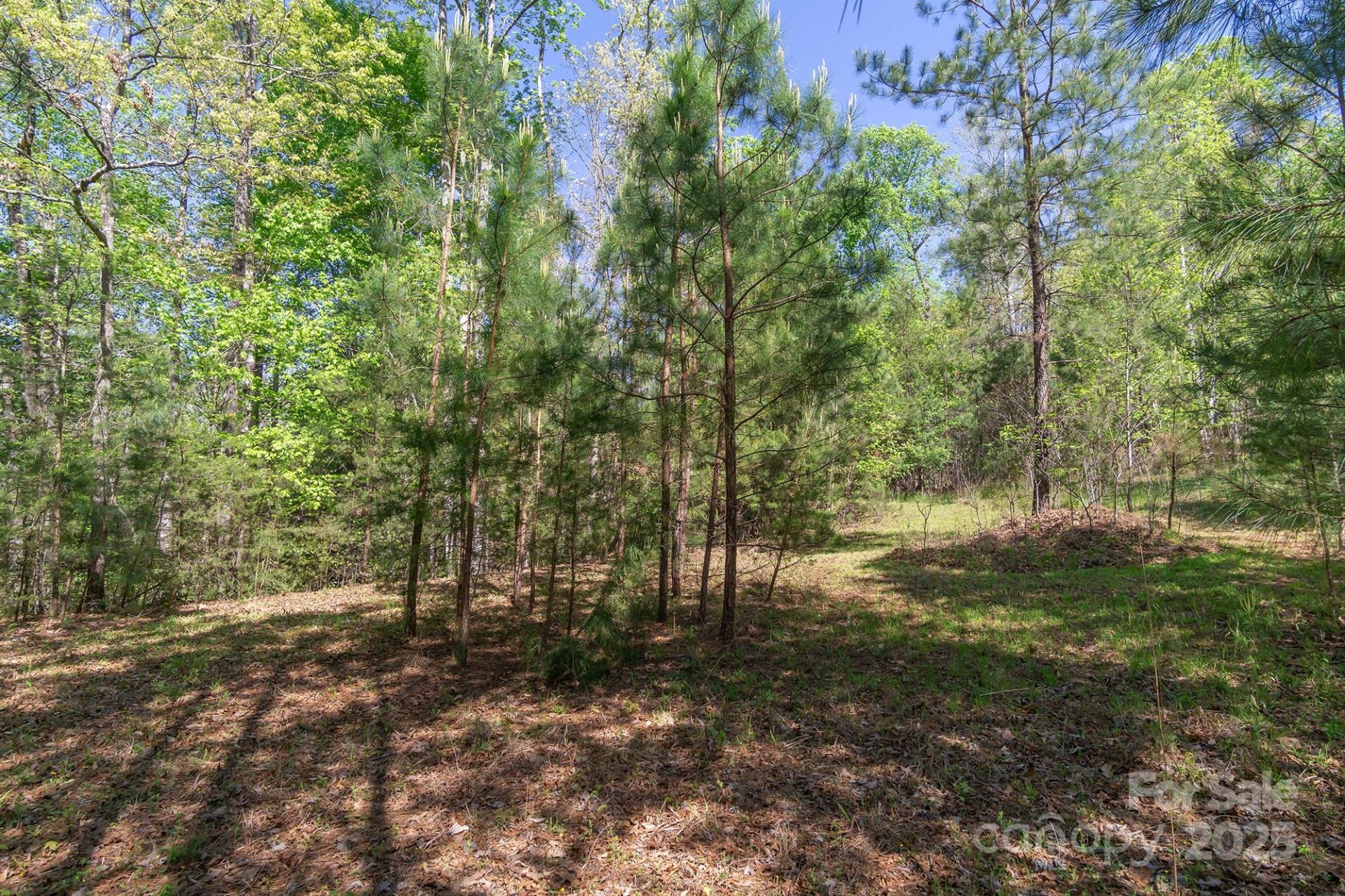 Property image 4 at V L Easy Street, Lake Lure, NC 28746