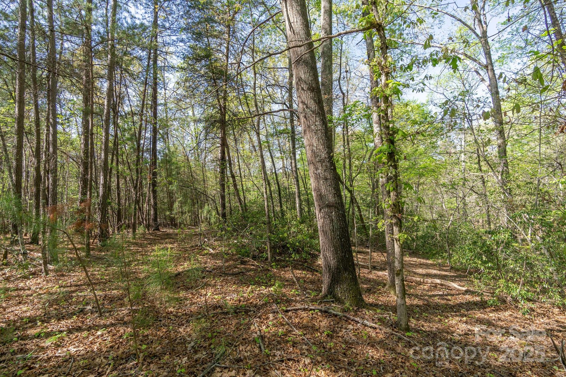 Property image 5 at V L Easy Street, Lake Lure, NC 28746