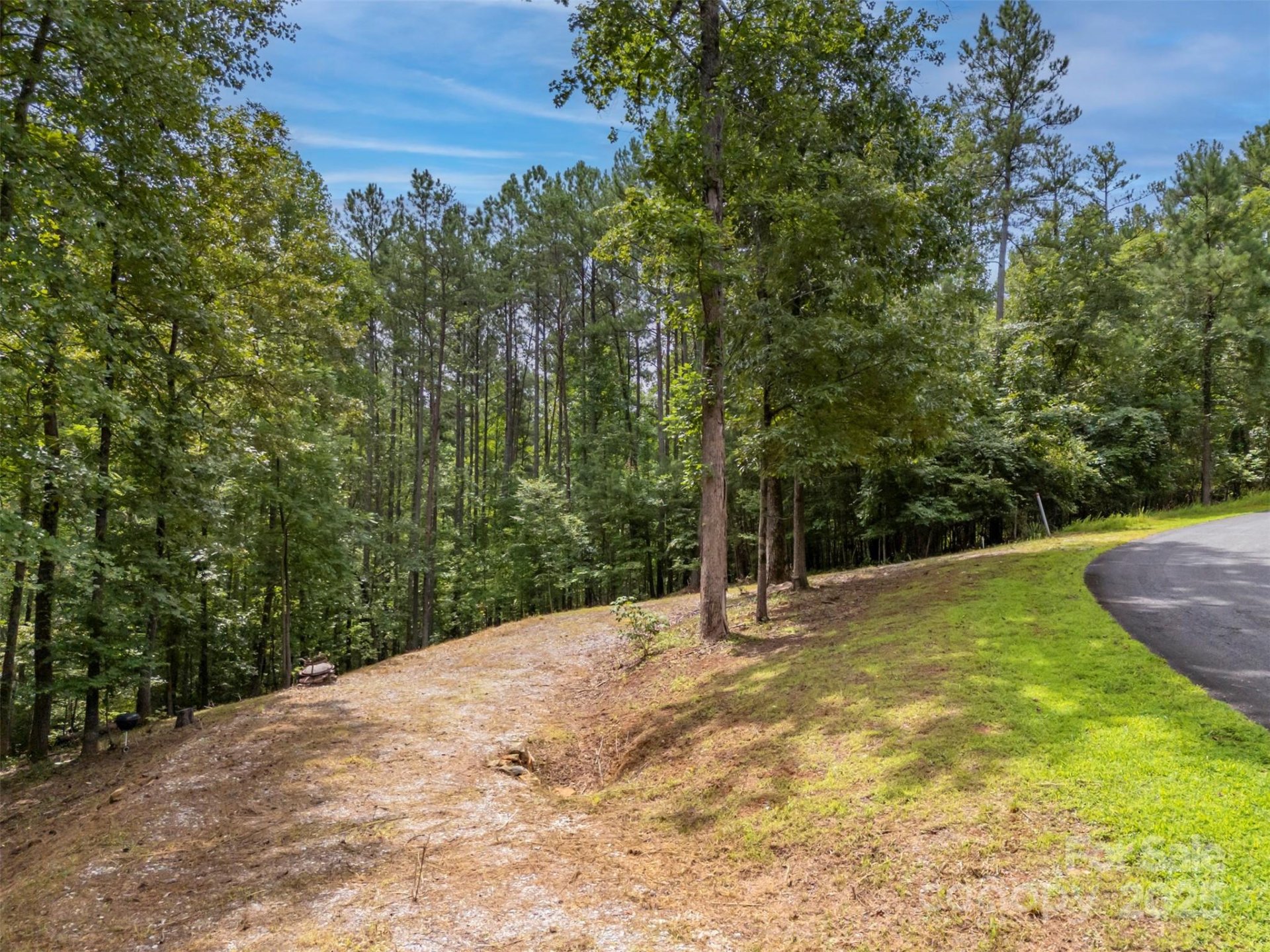 Property image 3 at Lot 119 Creekside Circle, Rutherfordton, NC 28139