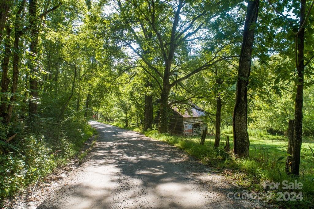 Property image 2 at 000 Platinum Road, Tuckasegee, NC 28783
