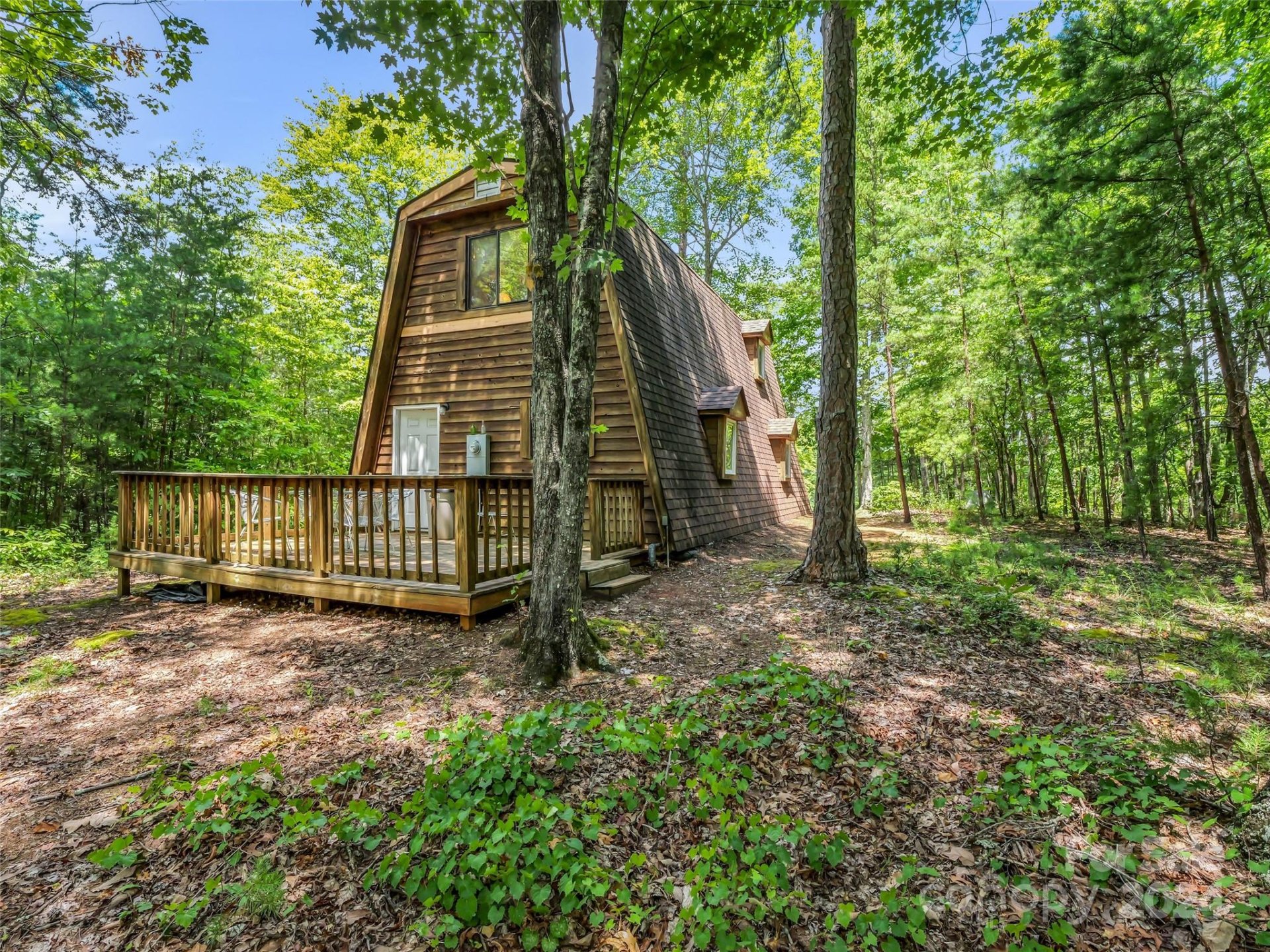 Property image 2 at 740 Justice Drive, Lake Lure, NC 28746