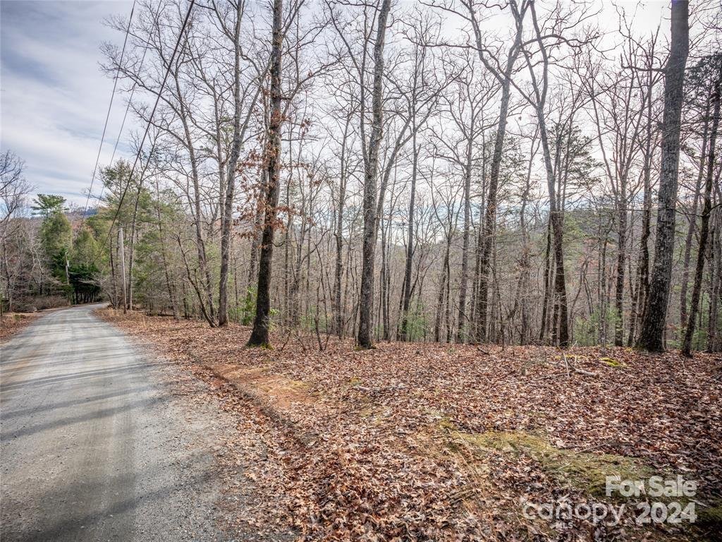 Property image 3 at 163 Pheasant Street, Lake Lure, NC 28746