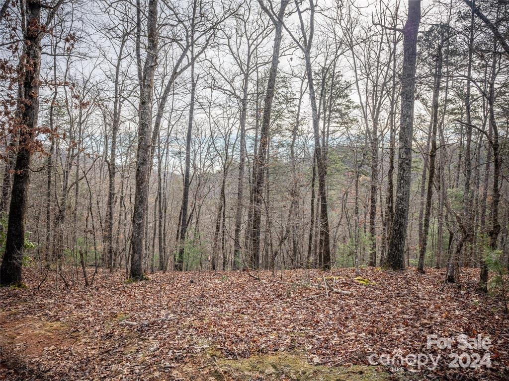 Property image 4 at 163 Pheasant Street, Lake Lure, NC 28746