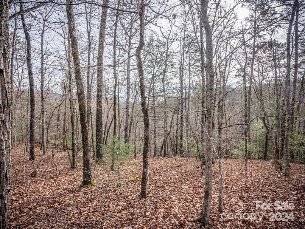 Property image 5 at 163 Pheasant Street, Lake Lure, NC 28746