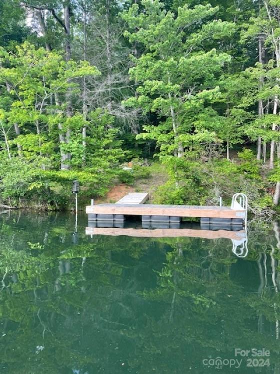 Property image 3 at 1733 Buffalo Creek Road, Lake Lure, NC 28746