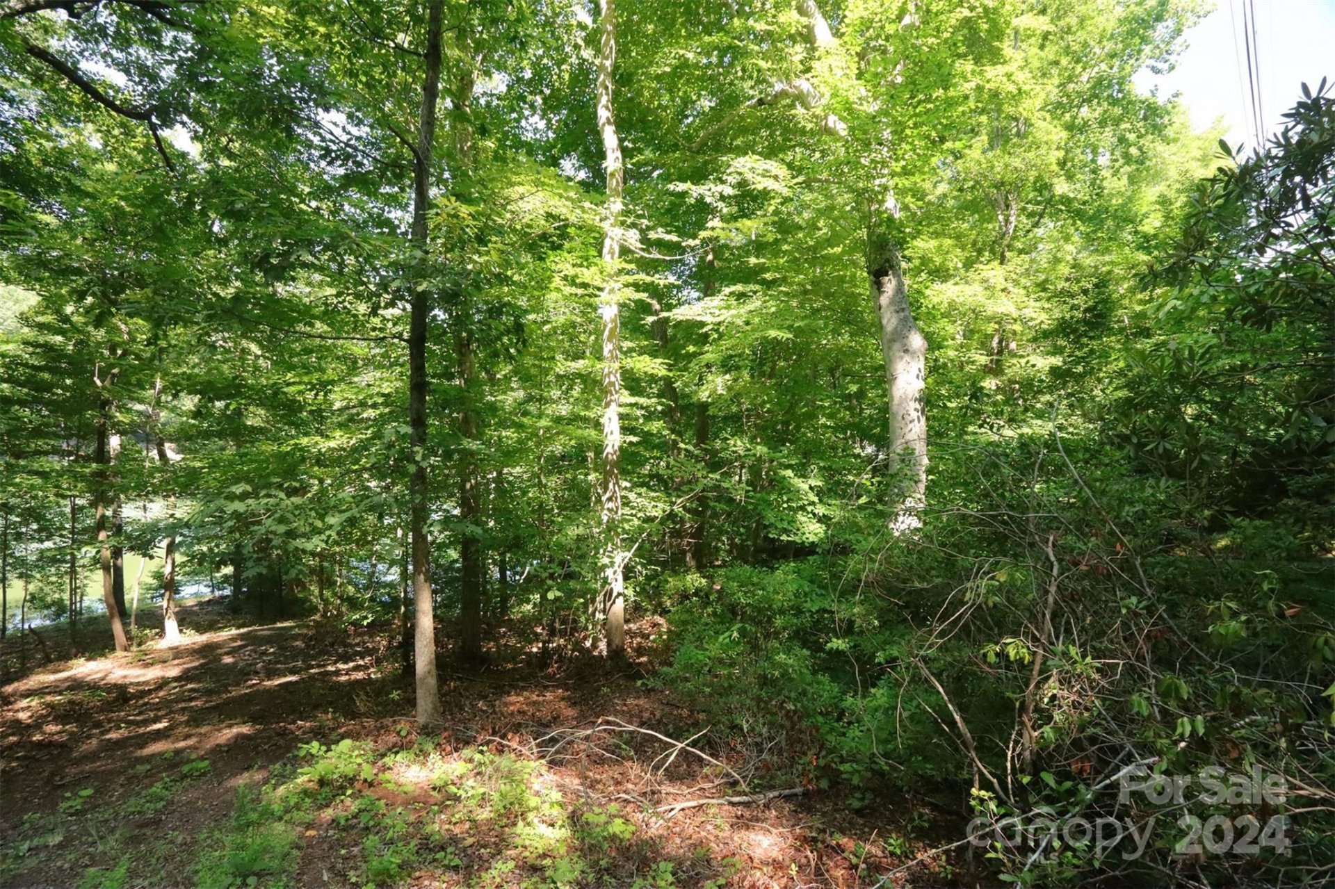 Property image 4 at 1733 Buffalo Creek Road, Lake Lure, NC 28746