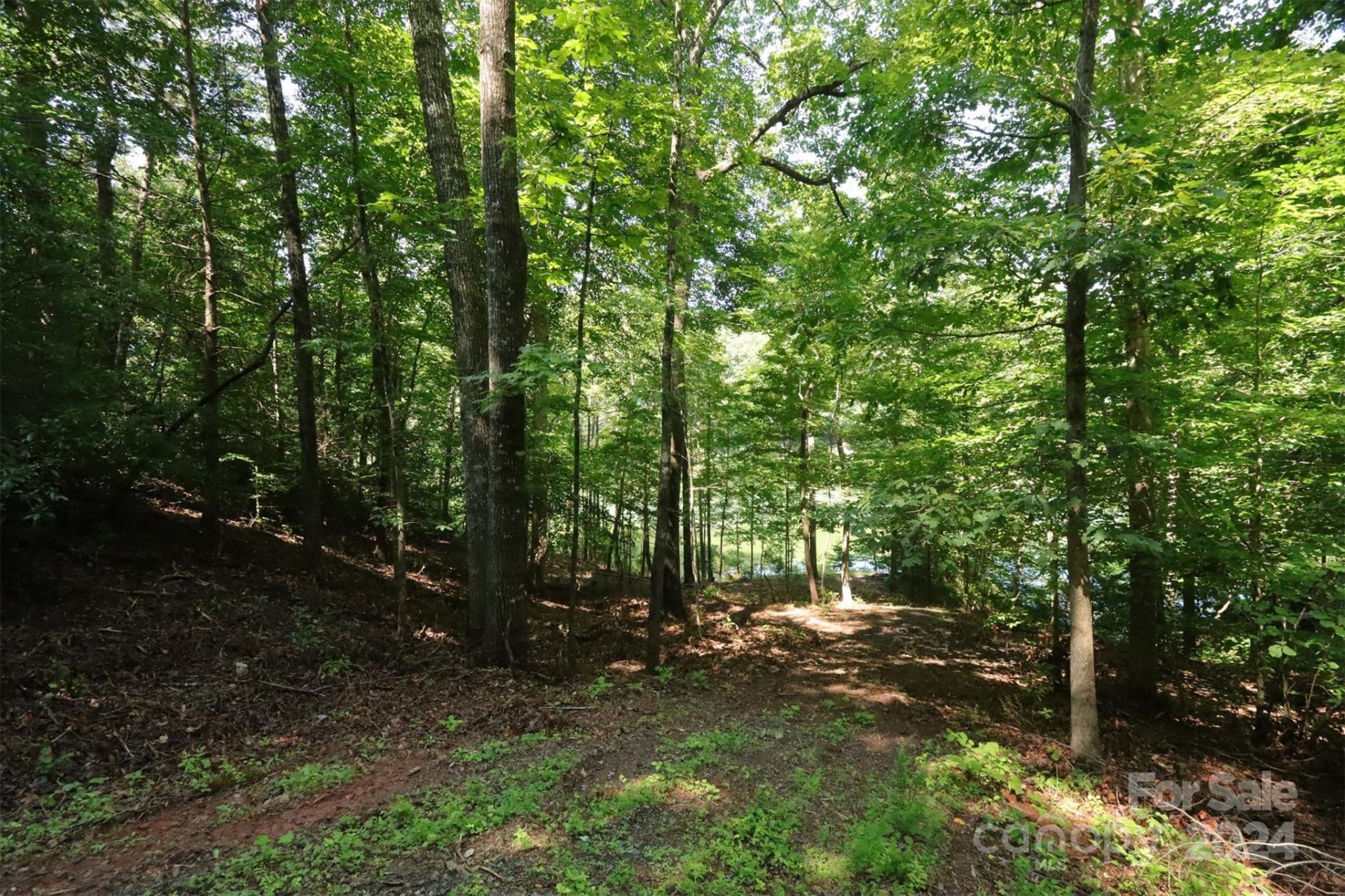 Property image 5 at 1733 Buffalo Creek Road, Lake Lure, NC 28746