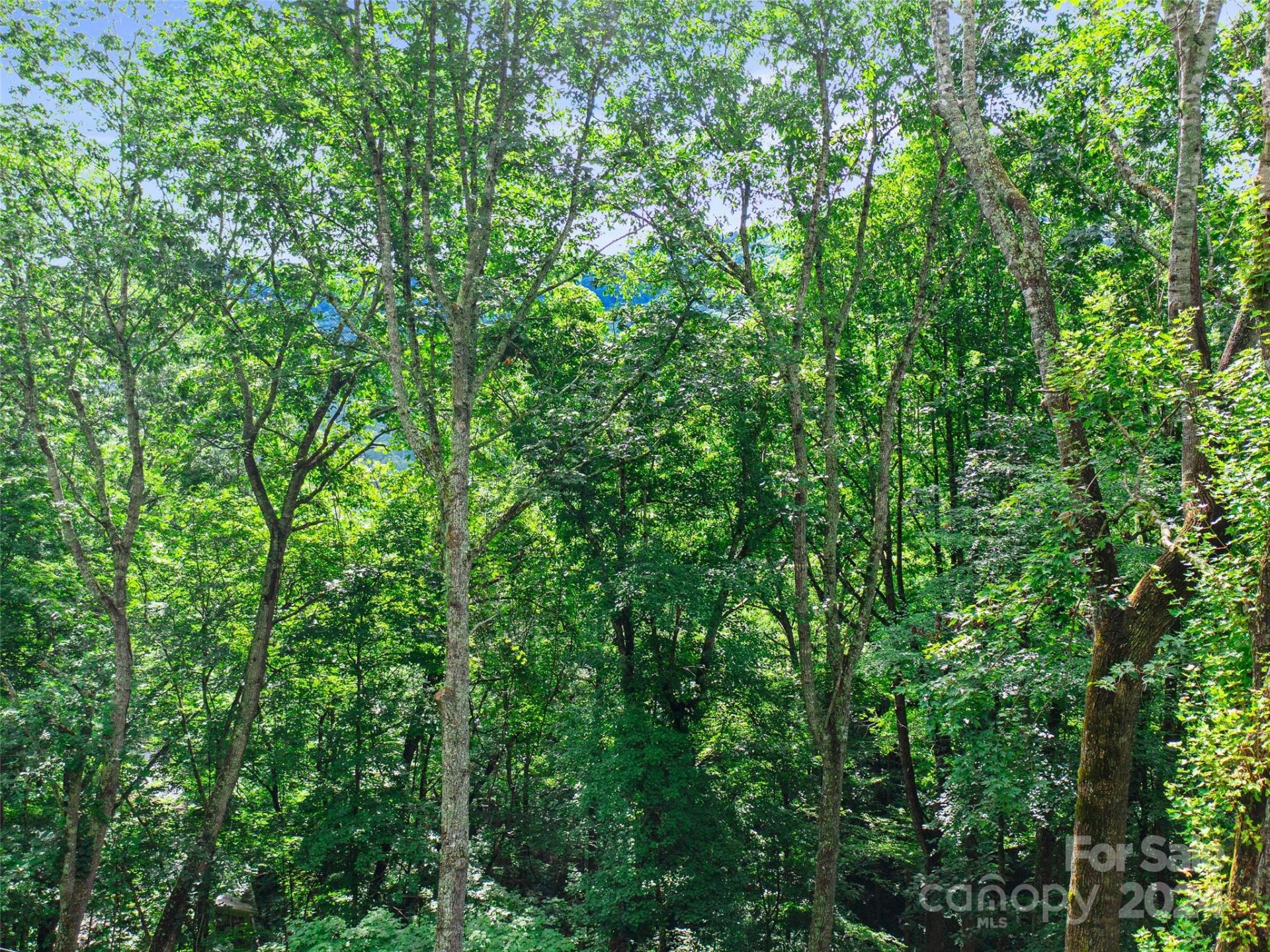 Property image 2 at 000 Falling Water Drive, Burnsville, NC 28714