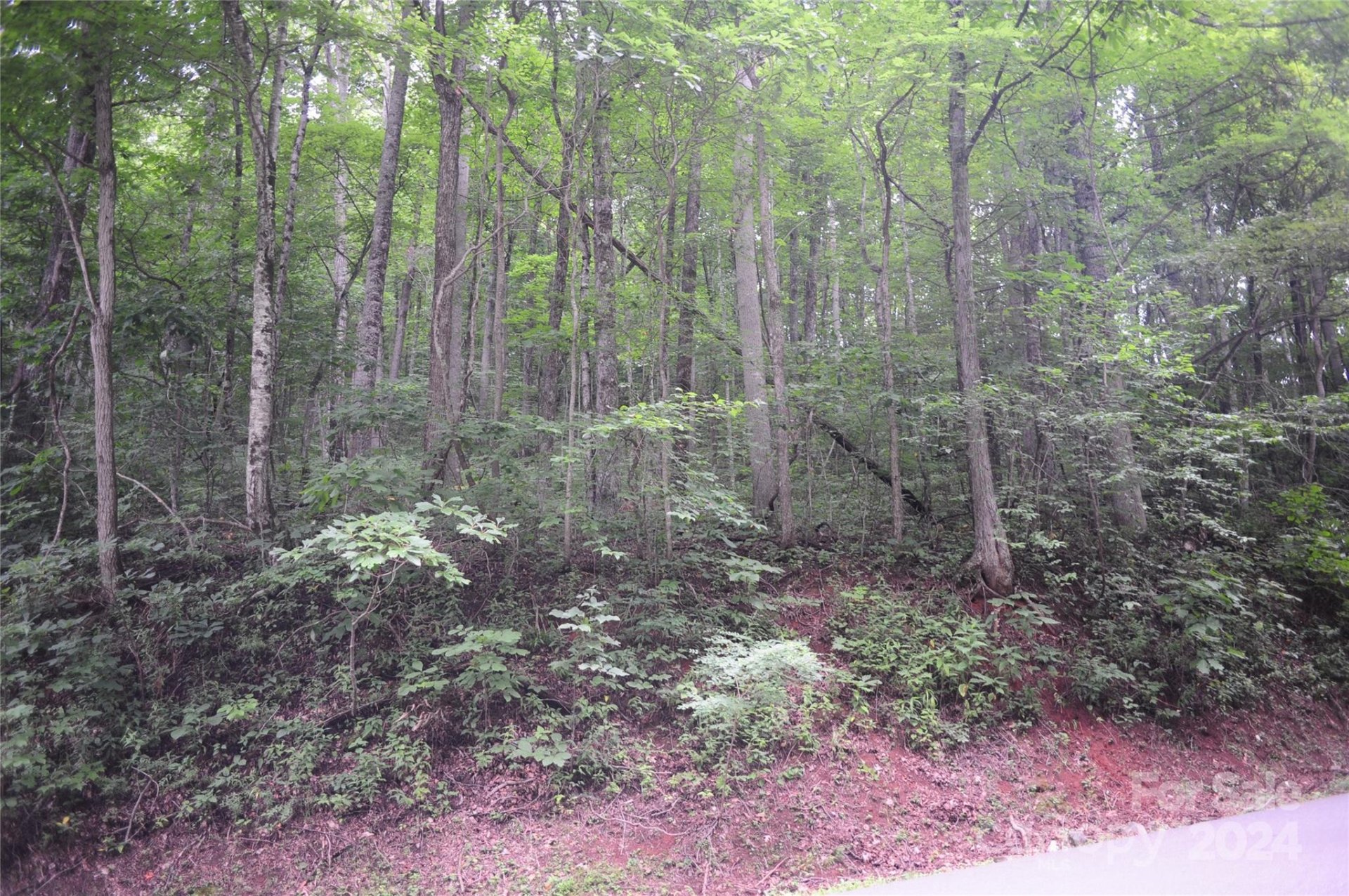 Property image 2 at 54 Great Aspen Way, Black Mountain, NC 28711