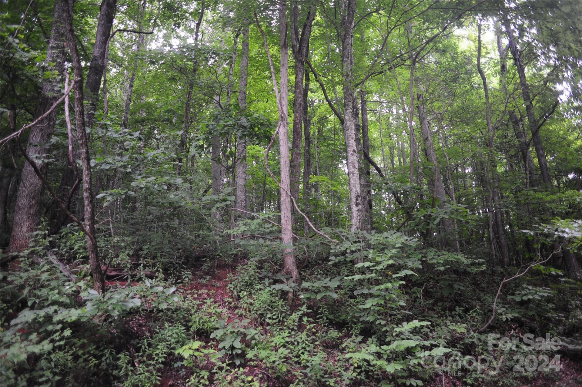 Property image 3 at 54 Great Aspen Way, Black Mountain, NC 28711
