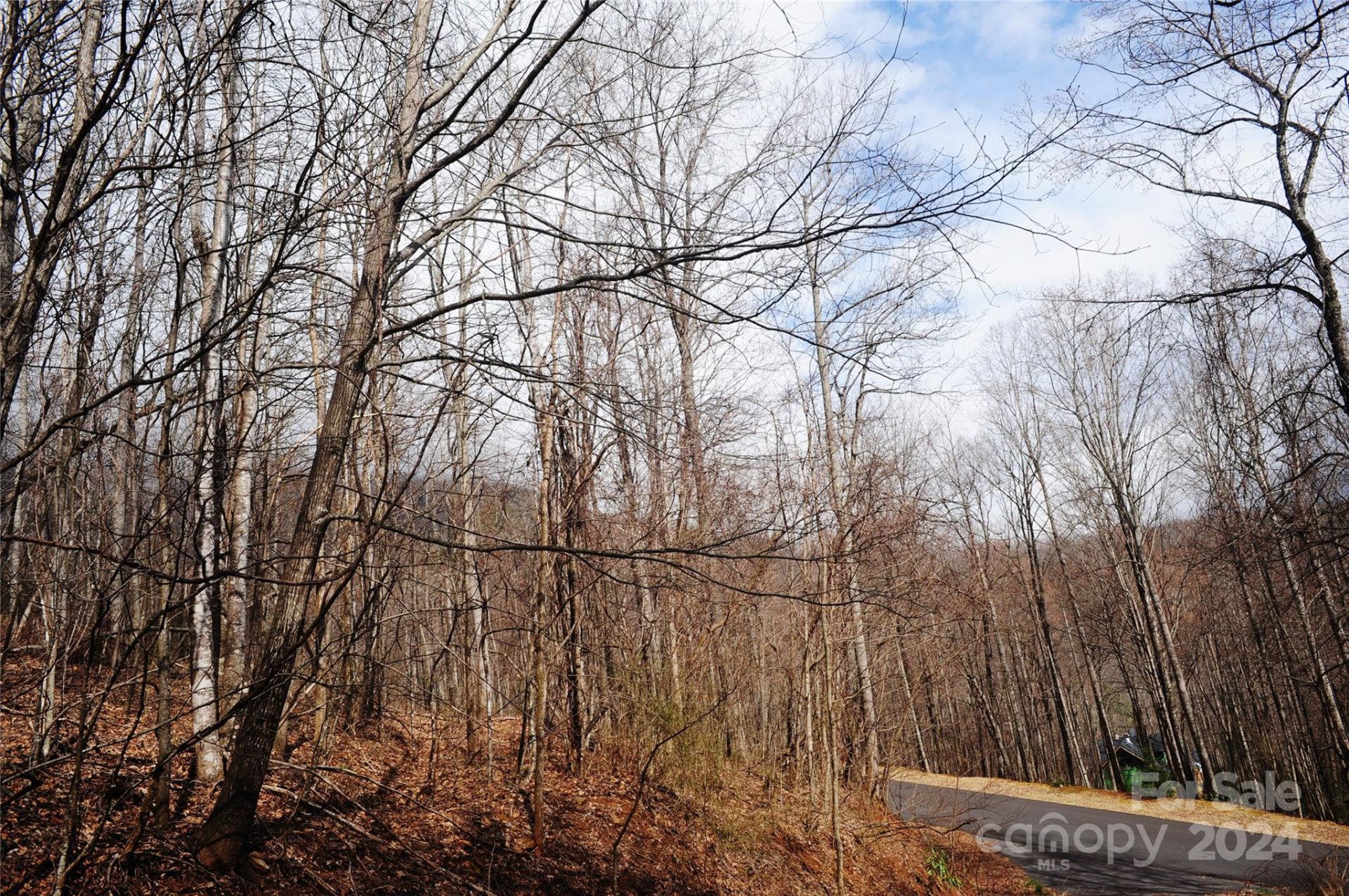 Property image 4 at 54 Great Aspen Way, Black Mountain, NC 28711