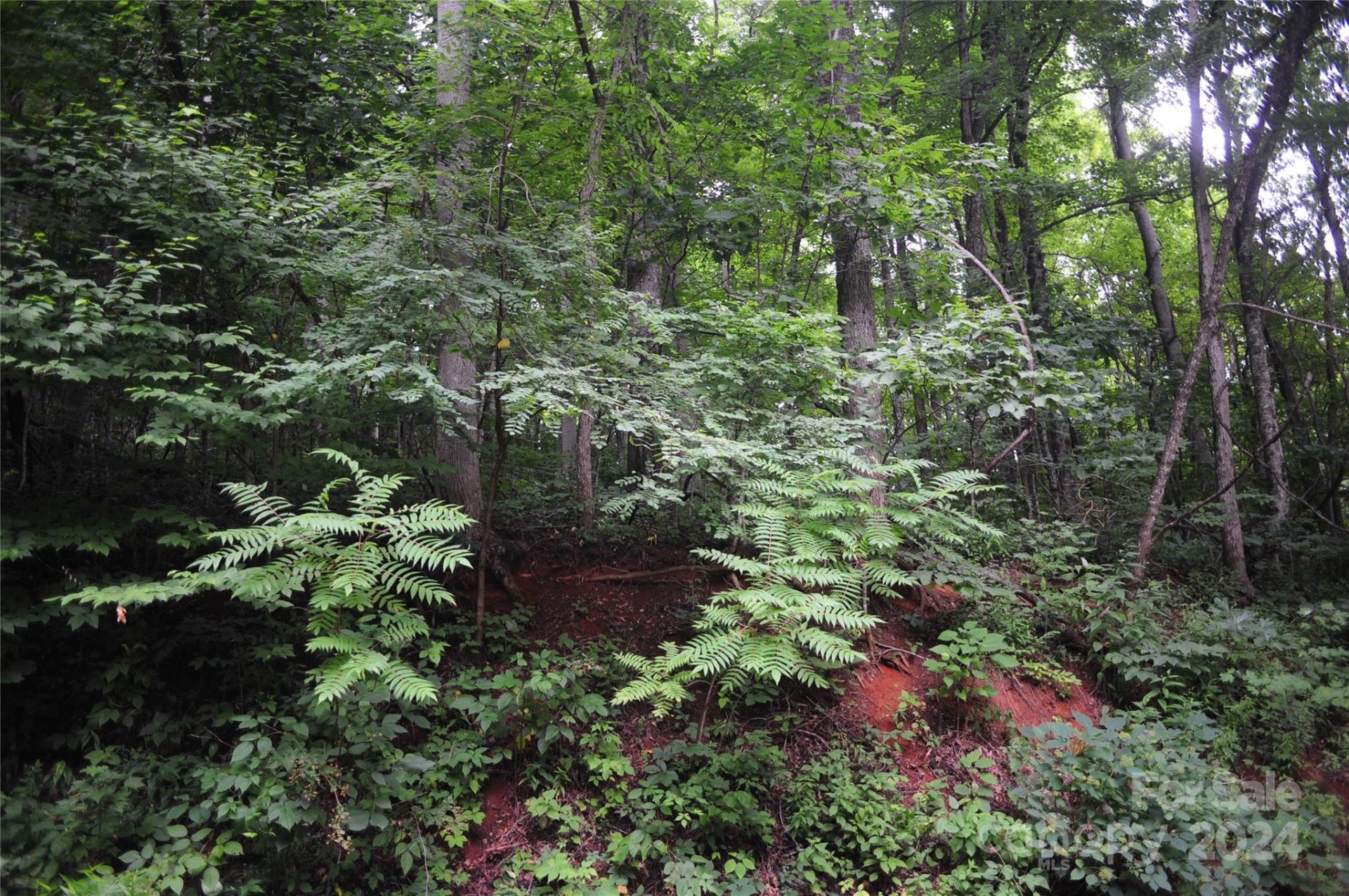Property image 5 at 54 Great Aspen Way, Black Mountain, NC 28711