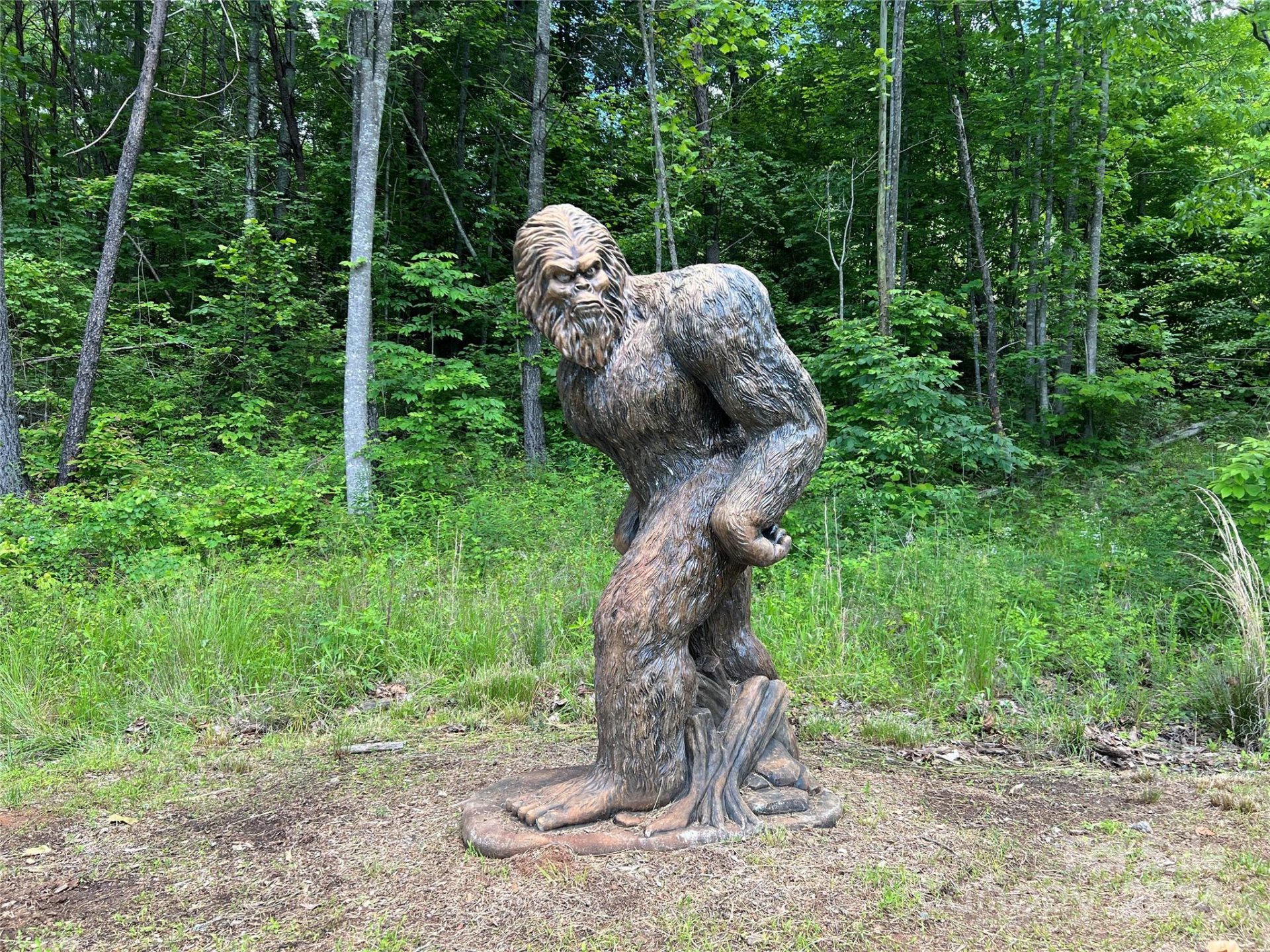 Property at 0000 Eamon Drive, Union Mills, NC 28167