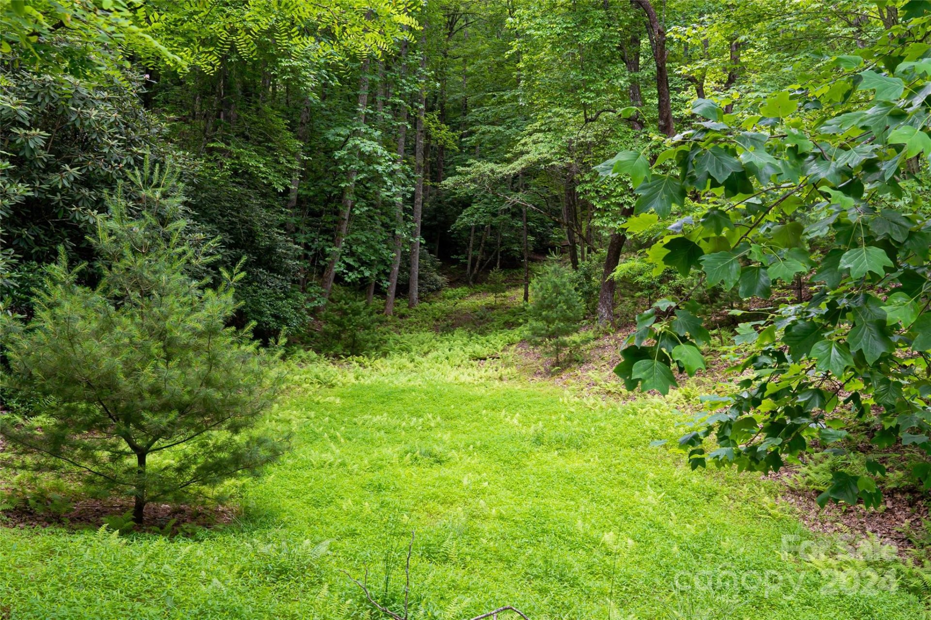Property image 3 at 99999 S Running Deer Trail, Horse Shoe, NC 28742