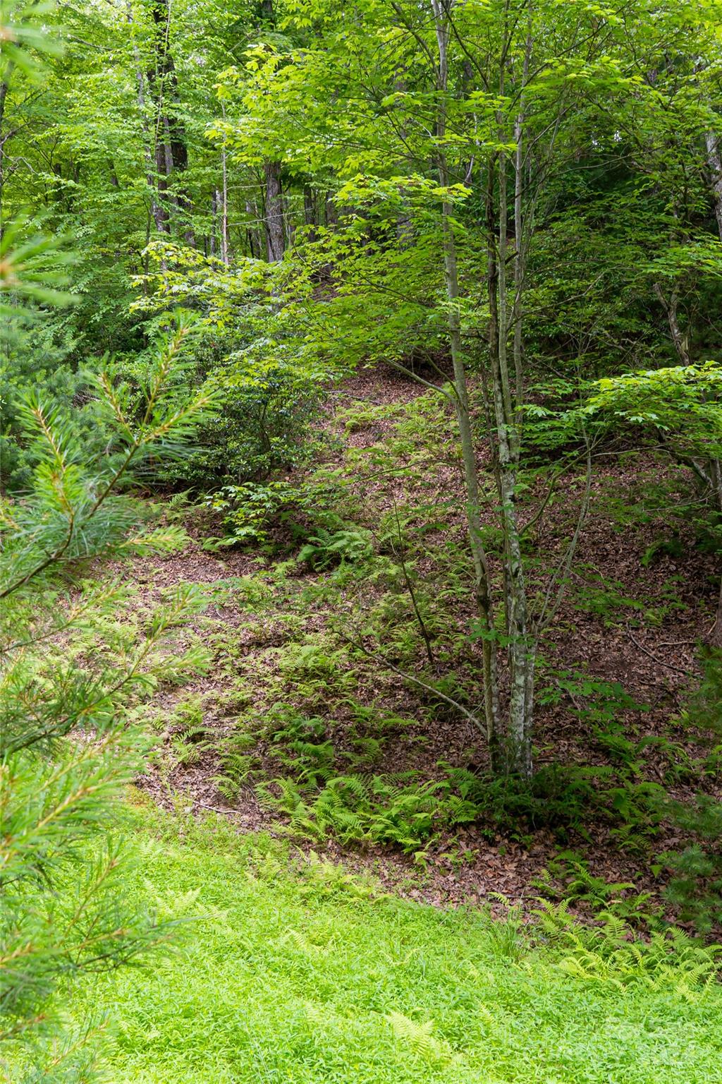 Property image 4 at 99999 S Running Deer Trail, Horse Shoe, NC 28742