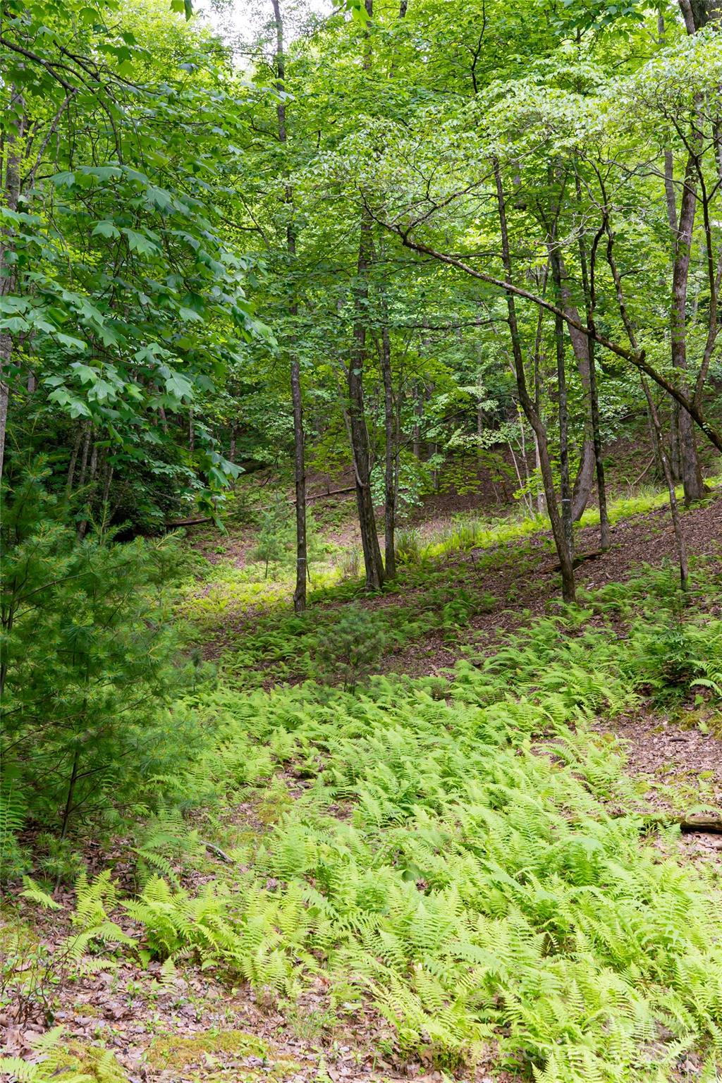 Property image 5 at 99999 S Running Deer Trail, Horse Shoe, NC 28742