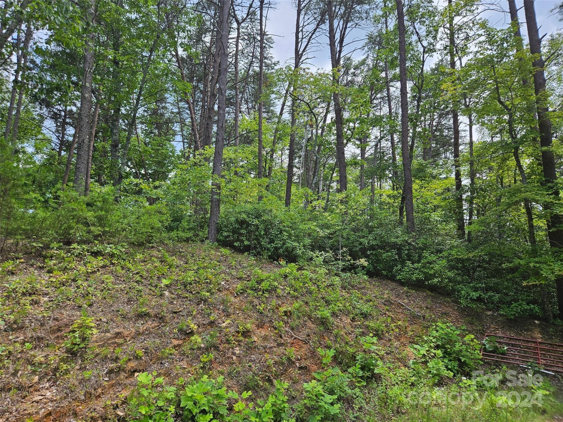 Property image 2 at 0 Rock Ledge Drive, Lake Lure, NC 28746