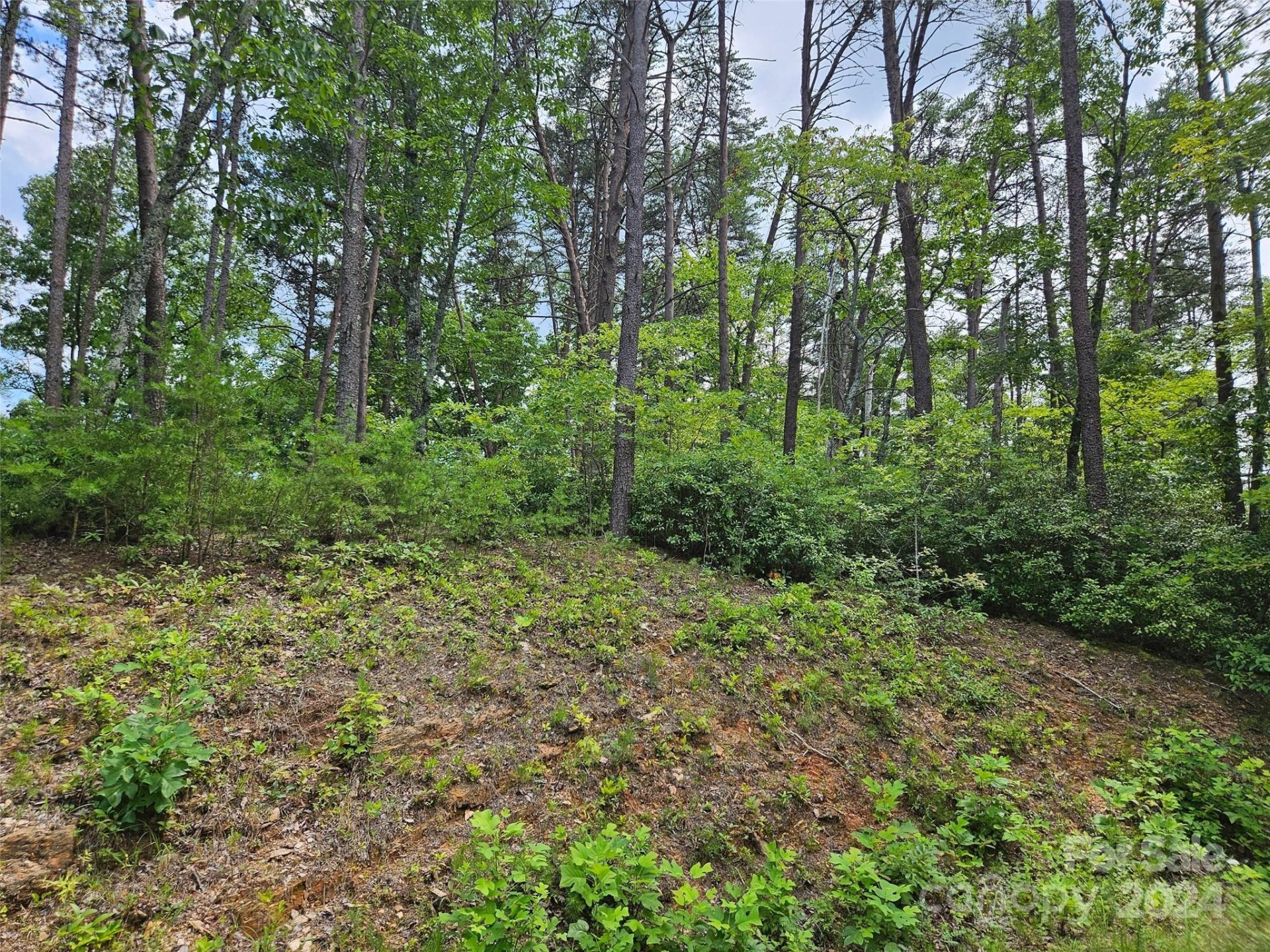 Property image 4 at 0 Rock Ledge Drive, Lake Lure, NC 28746