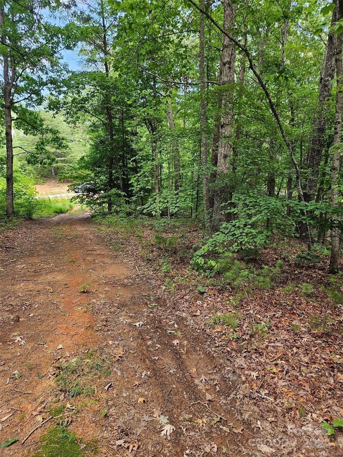 Property image 4 at 0 Deer Jump Trail, Lake Lure, NC 28746