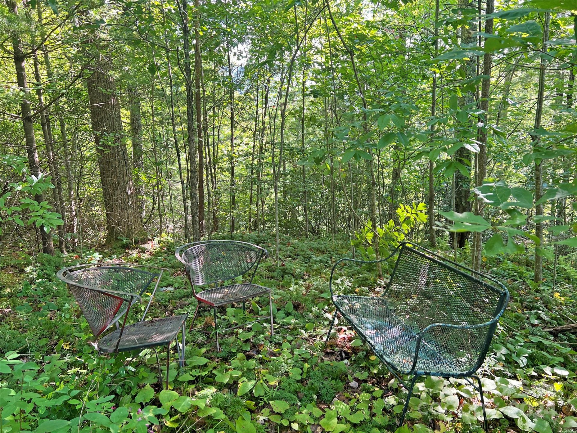 Property image 2 at 98 Fireside Trail, Marshall, NC 28753