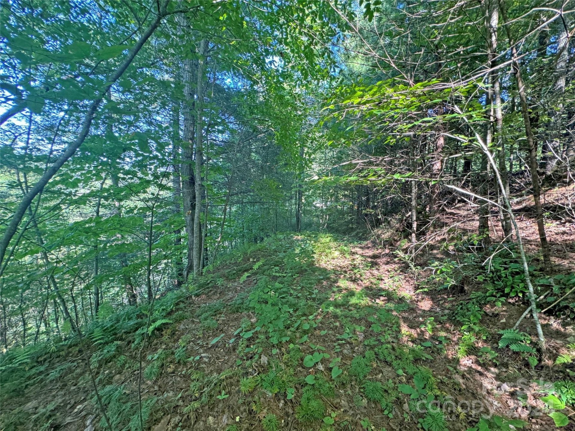 Property image 3 at 98 Fireside Trail, Marshall, NC 28753
