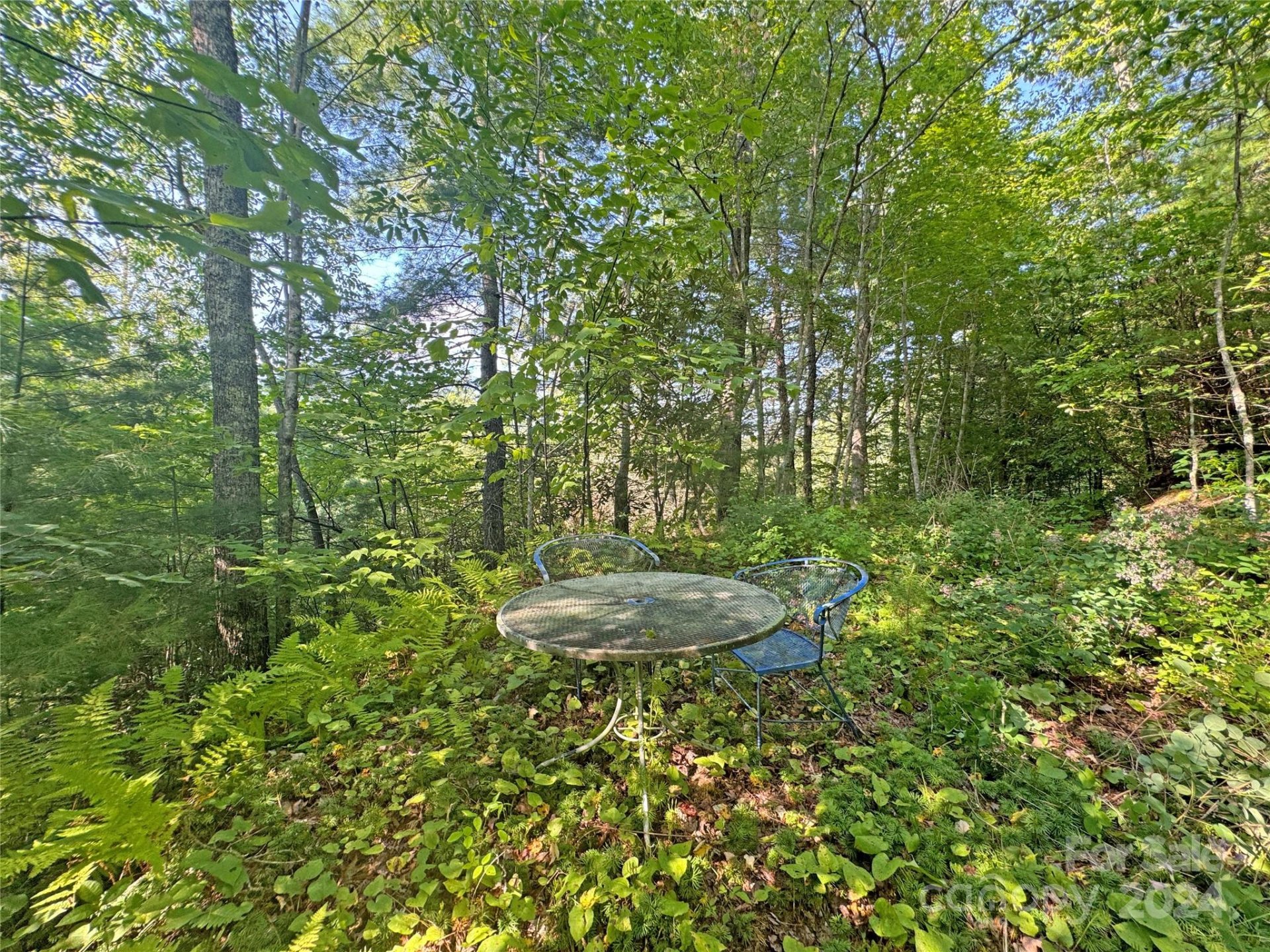 Property image 4 at 98 Fireside Trail, Marshall, NC 28753