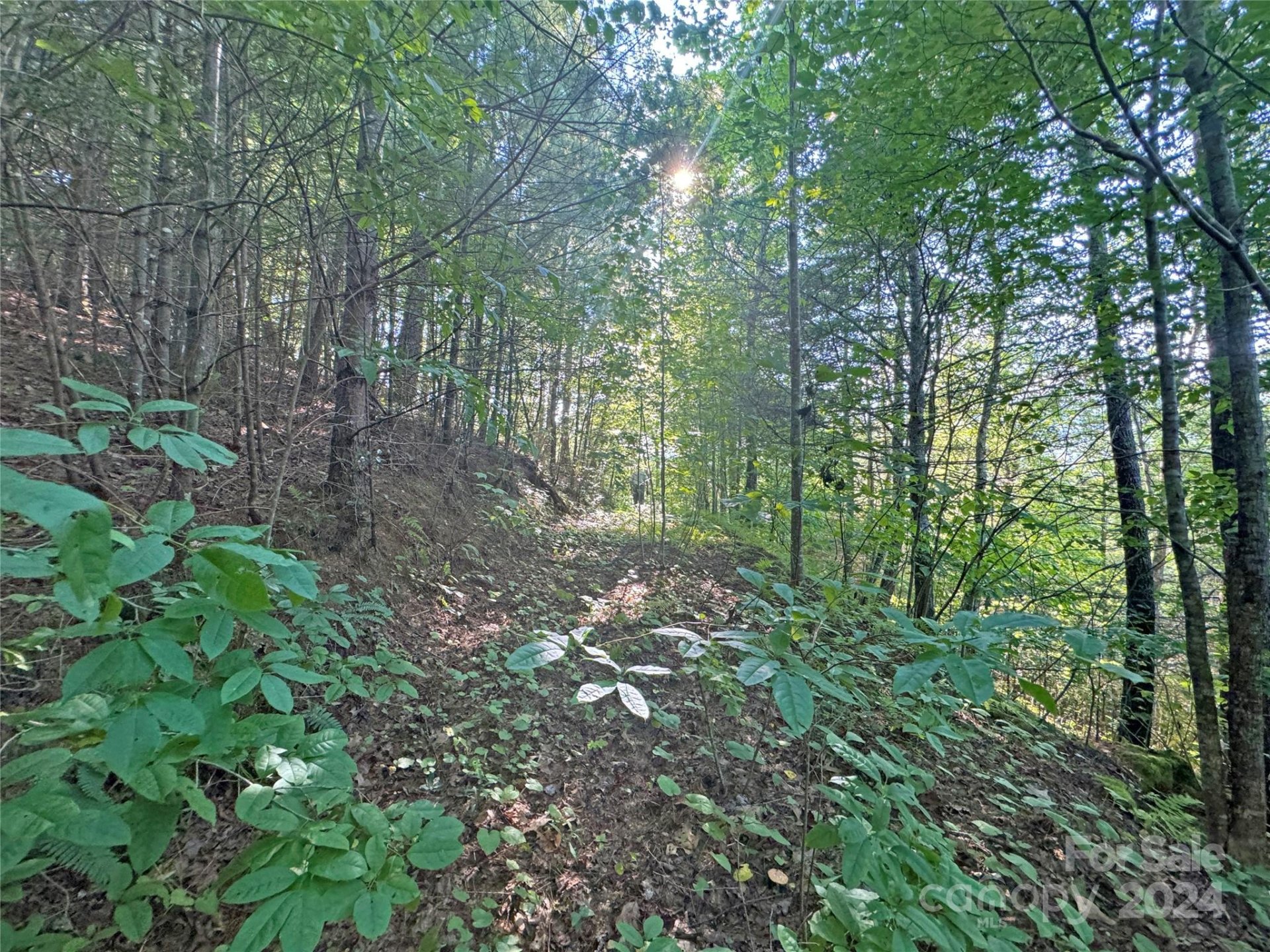 Property image 5 at 98 Fireside Trail, Marshall, NC 28753