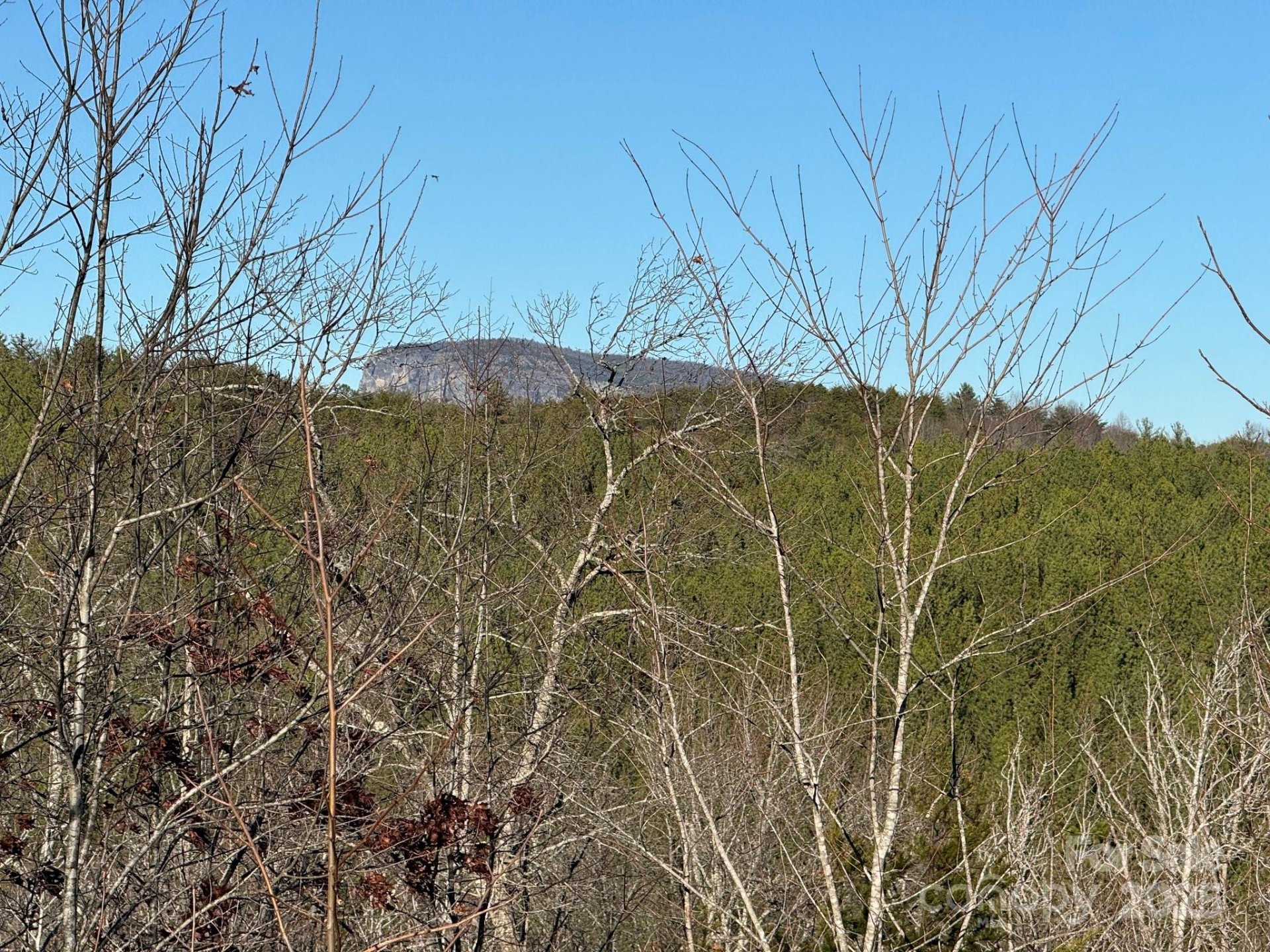 Property image 4 at 284 Bear Cliff Circle, Nebo, NC 28761
