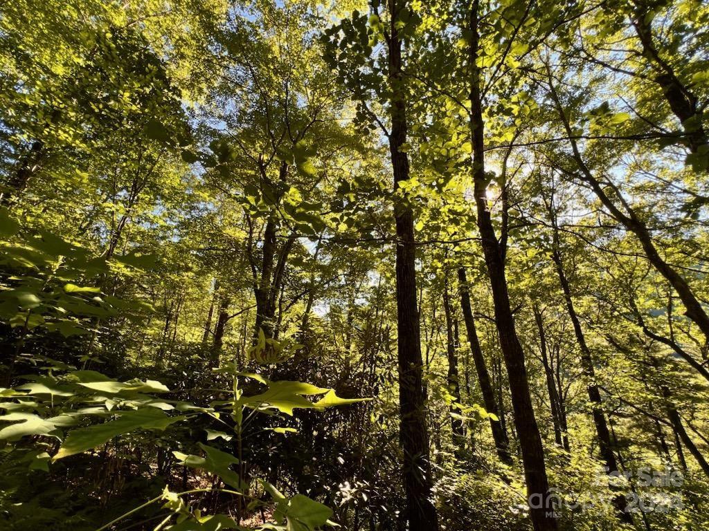 Property image 1 at 735 Whisper Mountain Drive, Leicester, NC 28748